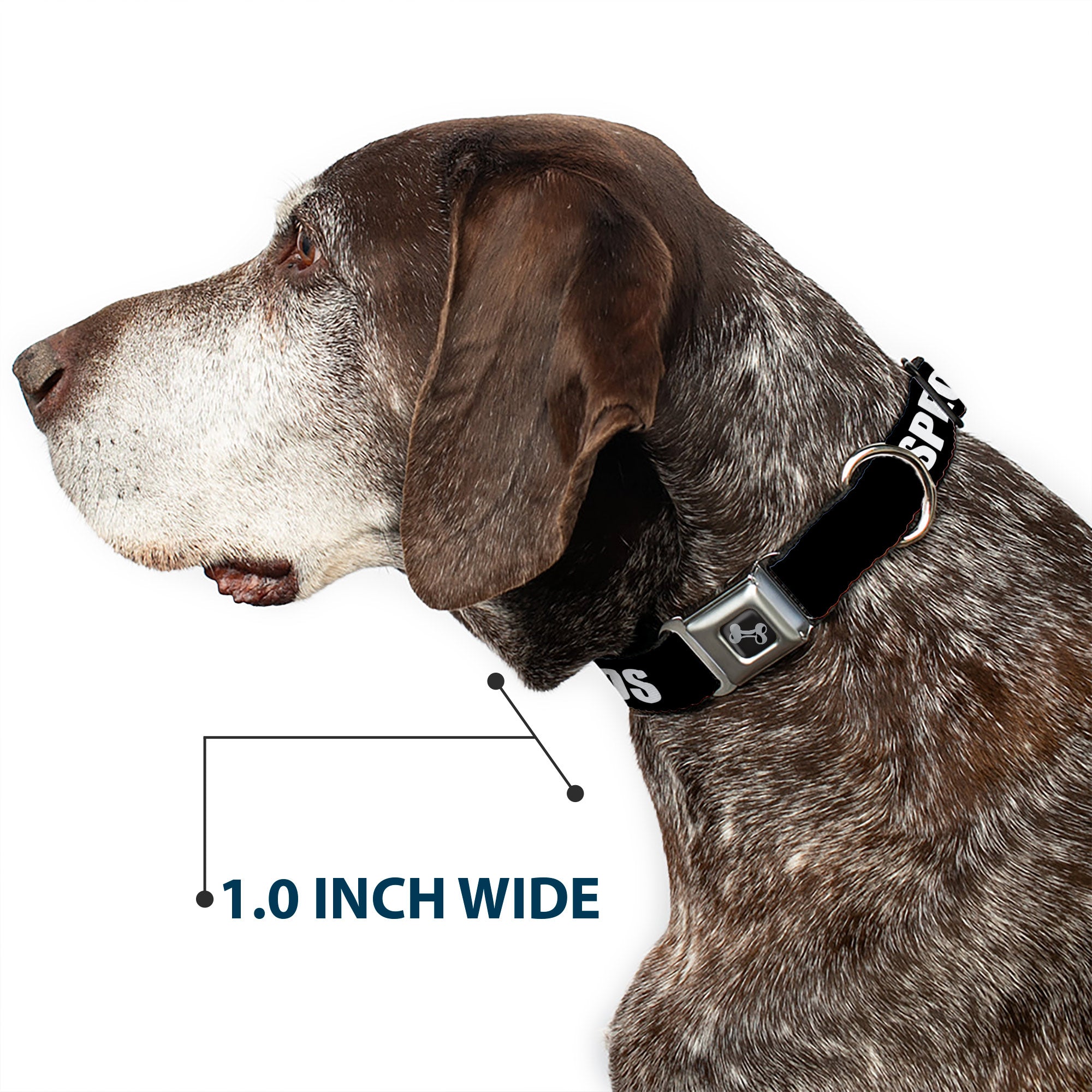 Dog Bone Black/Silver Seatbelt Buckle Collar - Pet Quote SPECIAL NEEDS Black/White Seatbelt Buckle Collars Buckle-Down