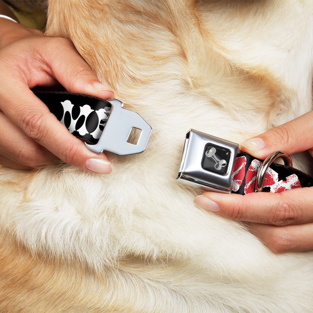 Dog Bone Seatbelt Buckle Collar - Steaks w/MEAT Text Seatbelt Buckle Collars Buckle-Down