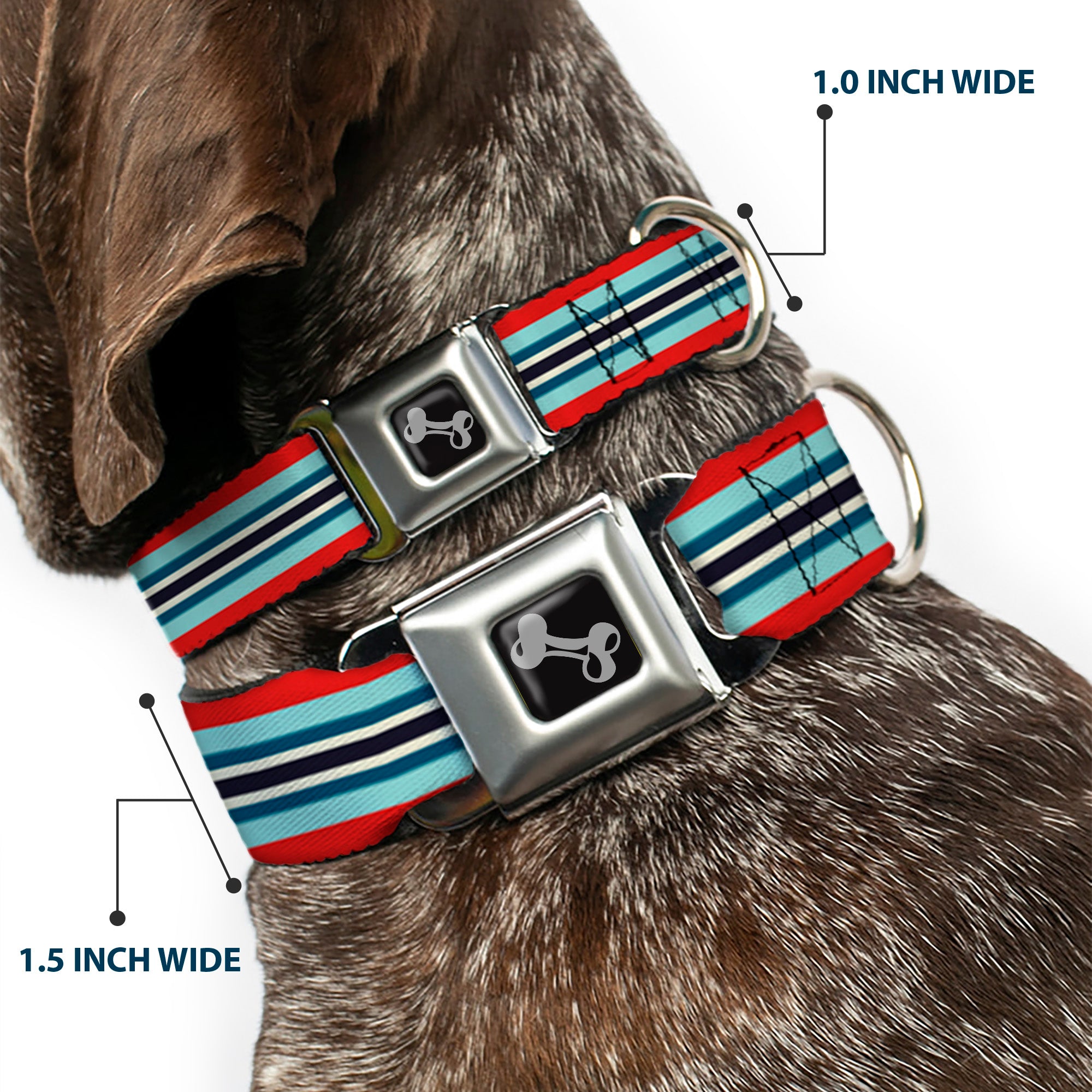 Dog Bone Seatbelt Buckle Collar - Stripes Red/Blues/White Seatbelt Buckle Collars Buckle-Down