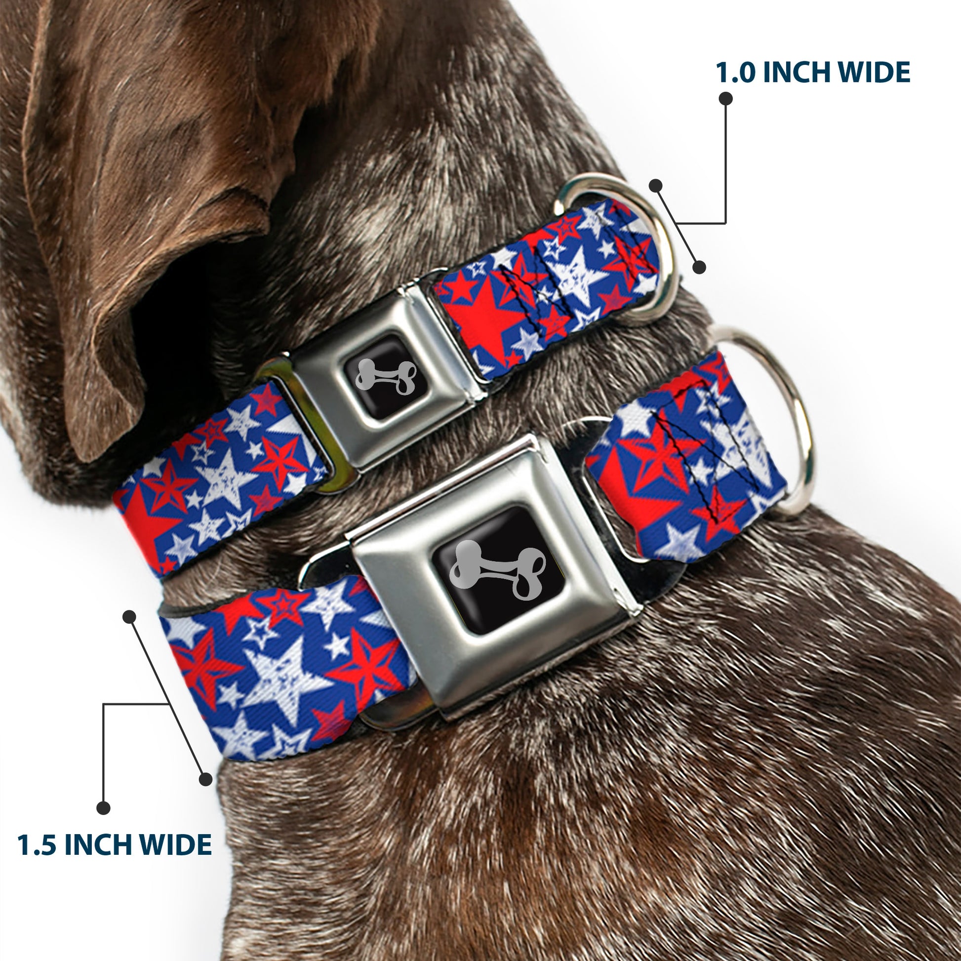 Dog Bone Seatbelt Buckle Collar - Stargazer Blue/White/Red Seatbelt Buckle Collars Buckle-Down