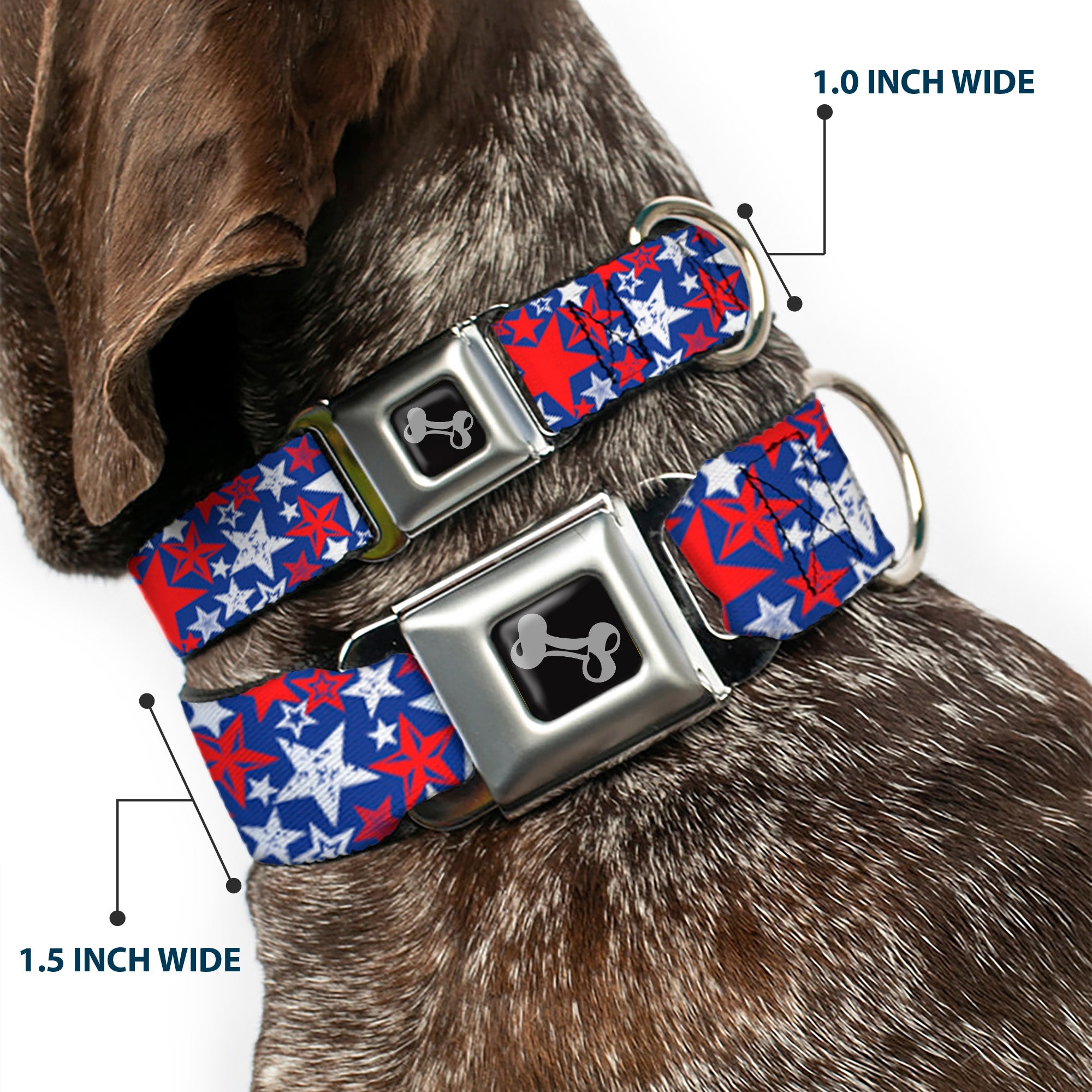 Dog Bone Seatbelt Buckle Collar - Stargazer Blue/White/Red Seatbelt Buckle Collars Buckle-Down