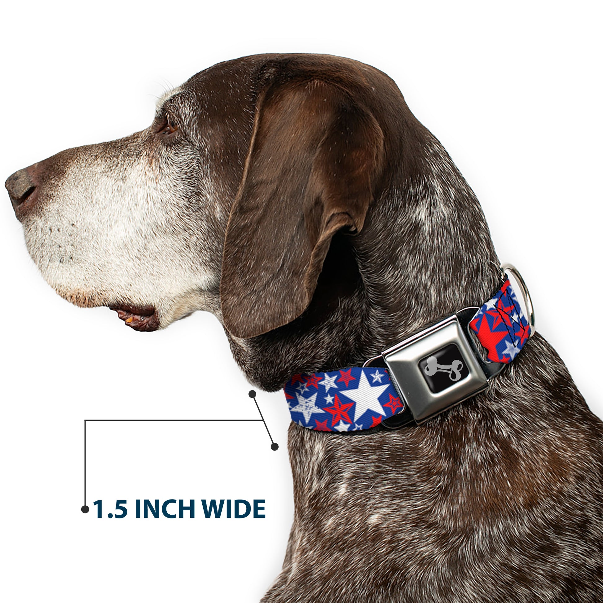Dog Bone Seatbelt Buckle Collar - Stargazer Blue/White/Red Seatbelt Buckle Collars Buckle-Down