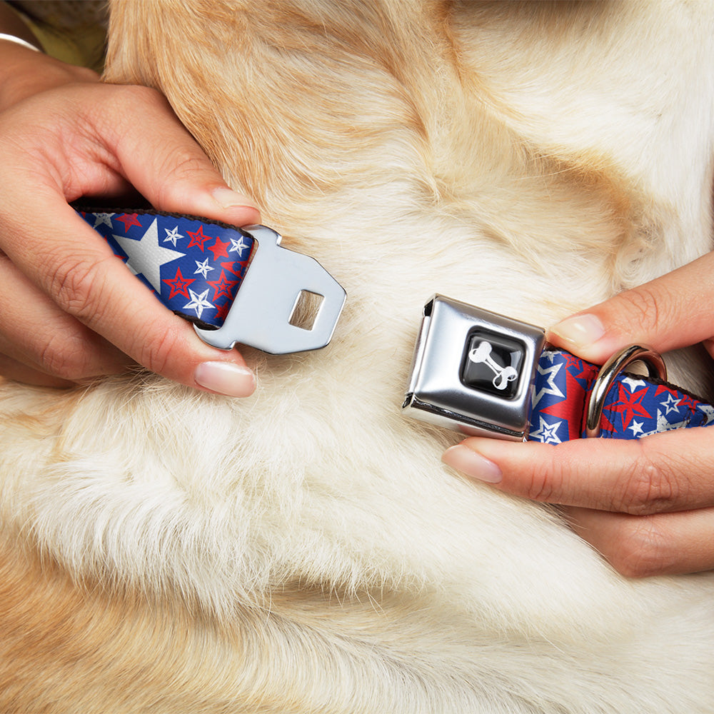 Dog Bone Seatbelt Buckle Collar - Stargazer Blue/White/Red Seatbelt Buckle Collars Buckle-Down