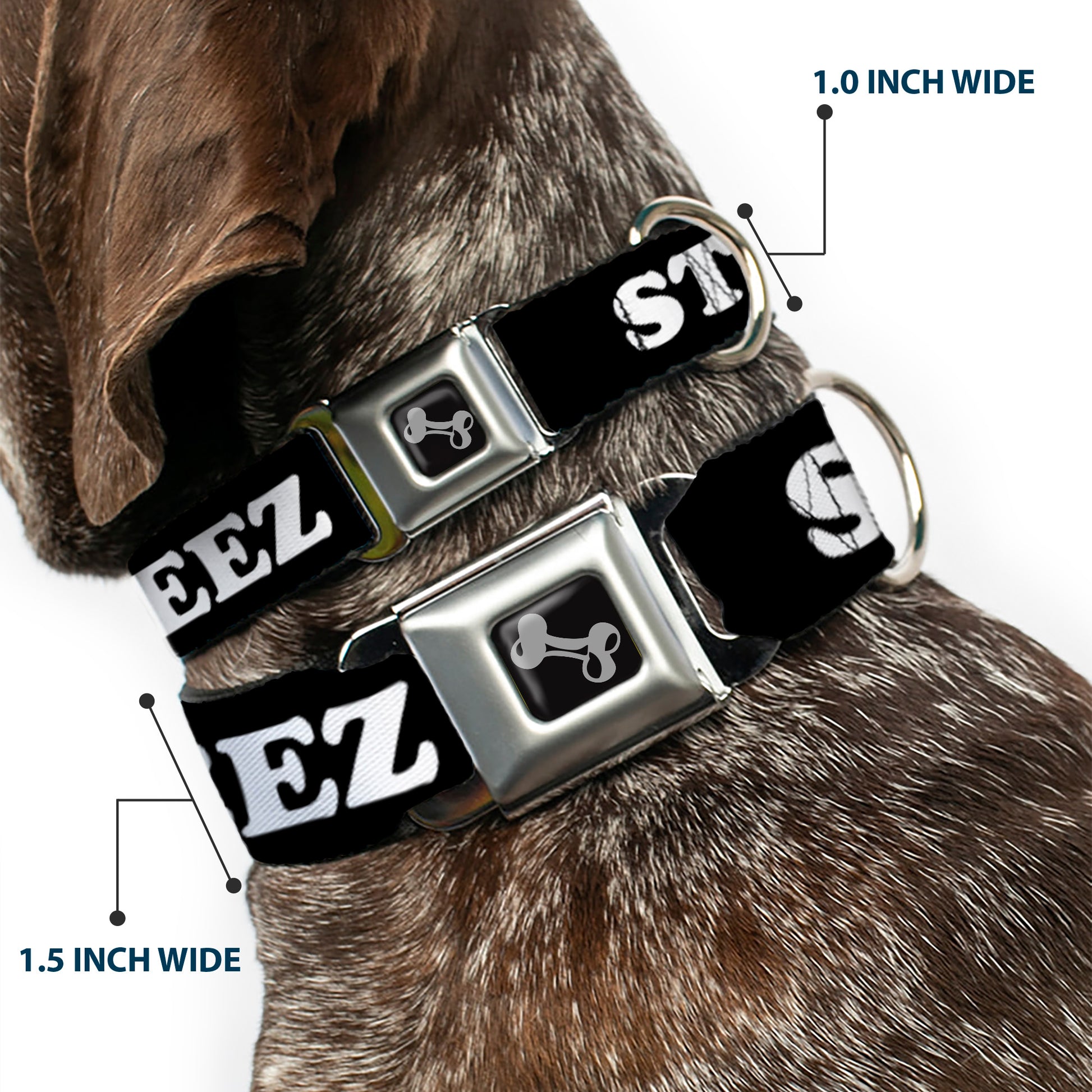Dog Bone Seatbelt Buckle Collar - STEEZ Black/White Seatbelt Buckle Collars Buckle-Down
