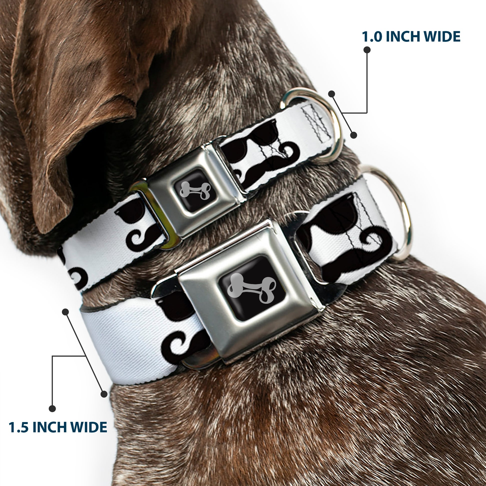 Dog Bone Seatbelt Buckle Collar - Sunglasses & Mustache White/Black Seatbelt Buckle Collars Buckle-Down