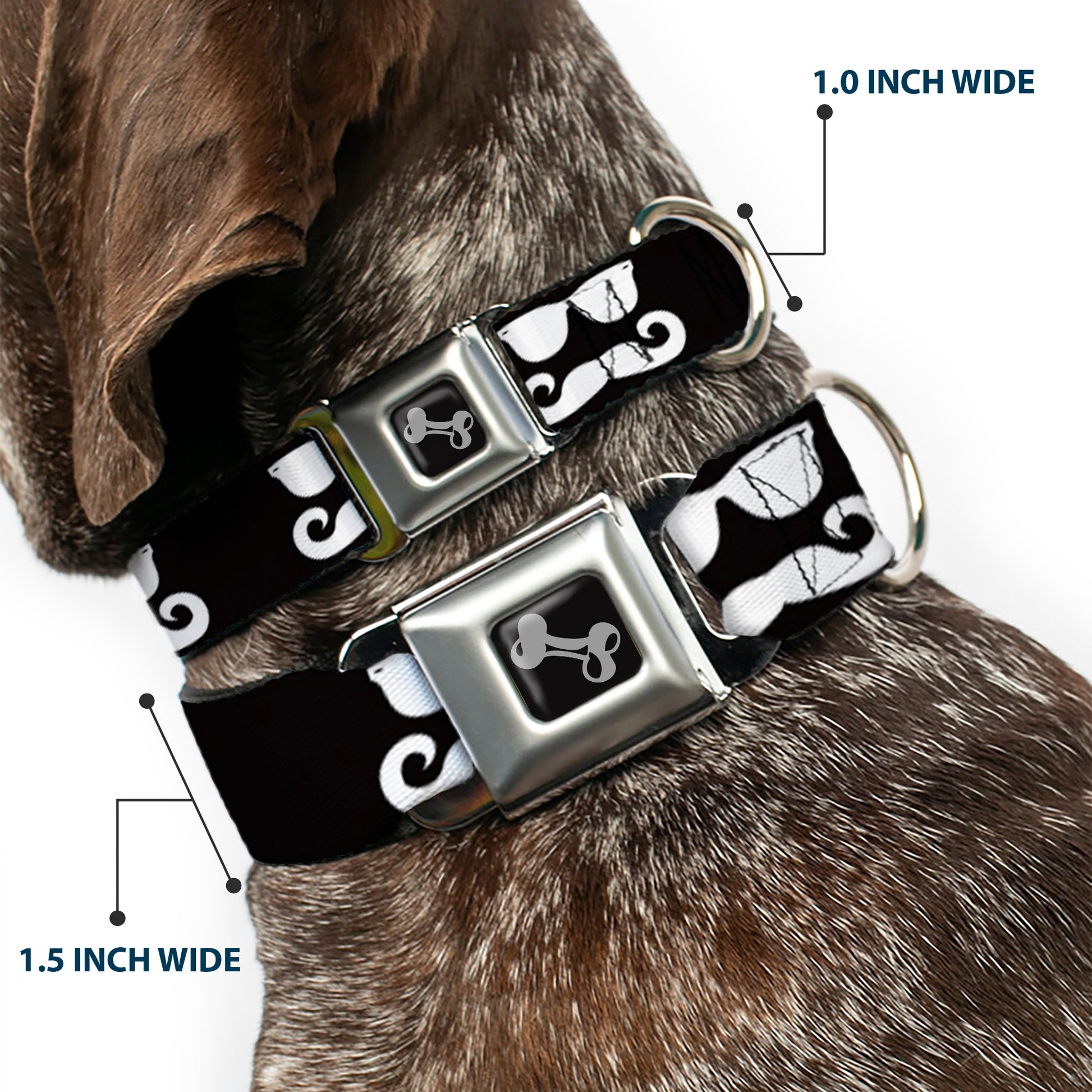 Dog Bone Seatbelt Buckle Collar - Sunglasses & Mustache Black/White Seatbelt Buckle Collars Buckle-Down