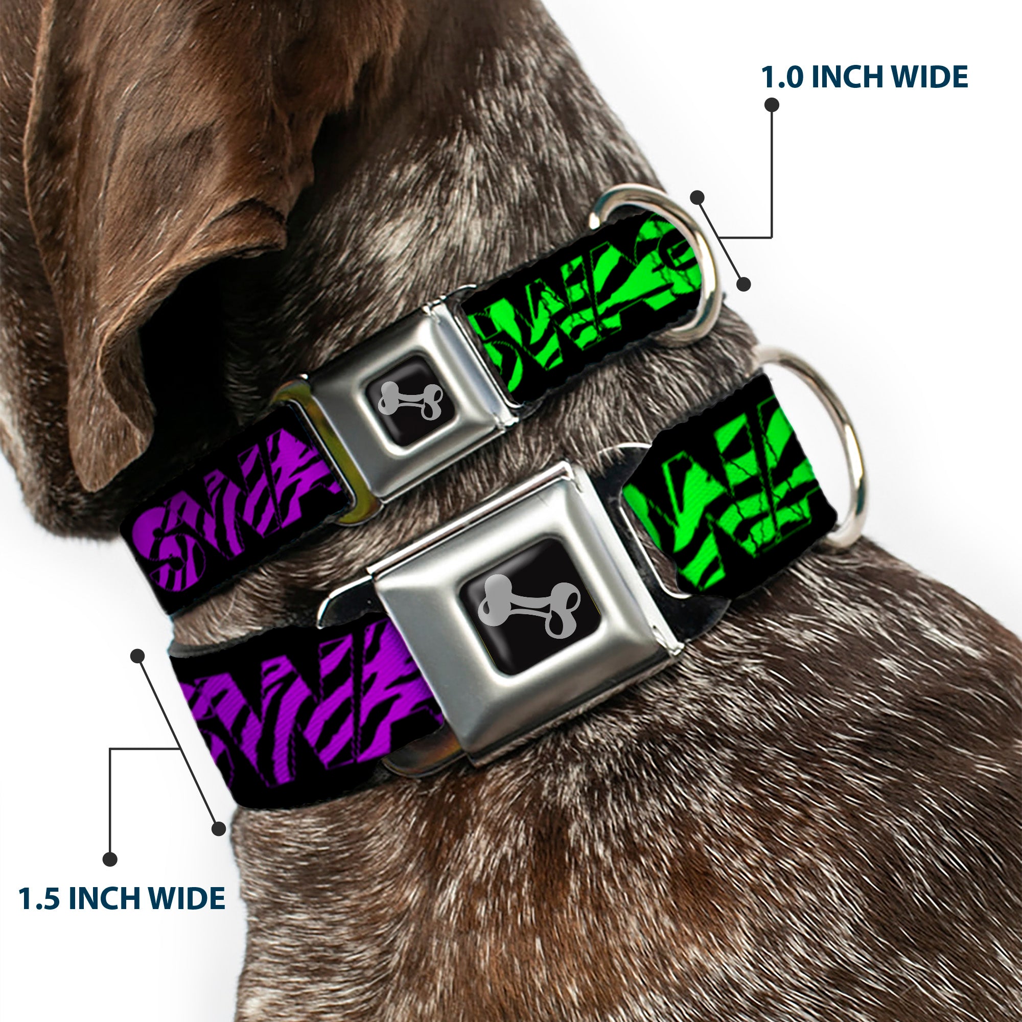 Dog Bone Seatbelt Buckle Collar - SWAGG Black/Zebra Multi Neon Seatbelt Buckle Collars Buckle-Down
