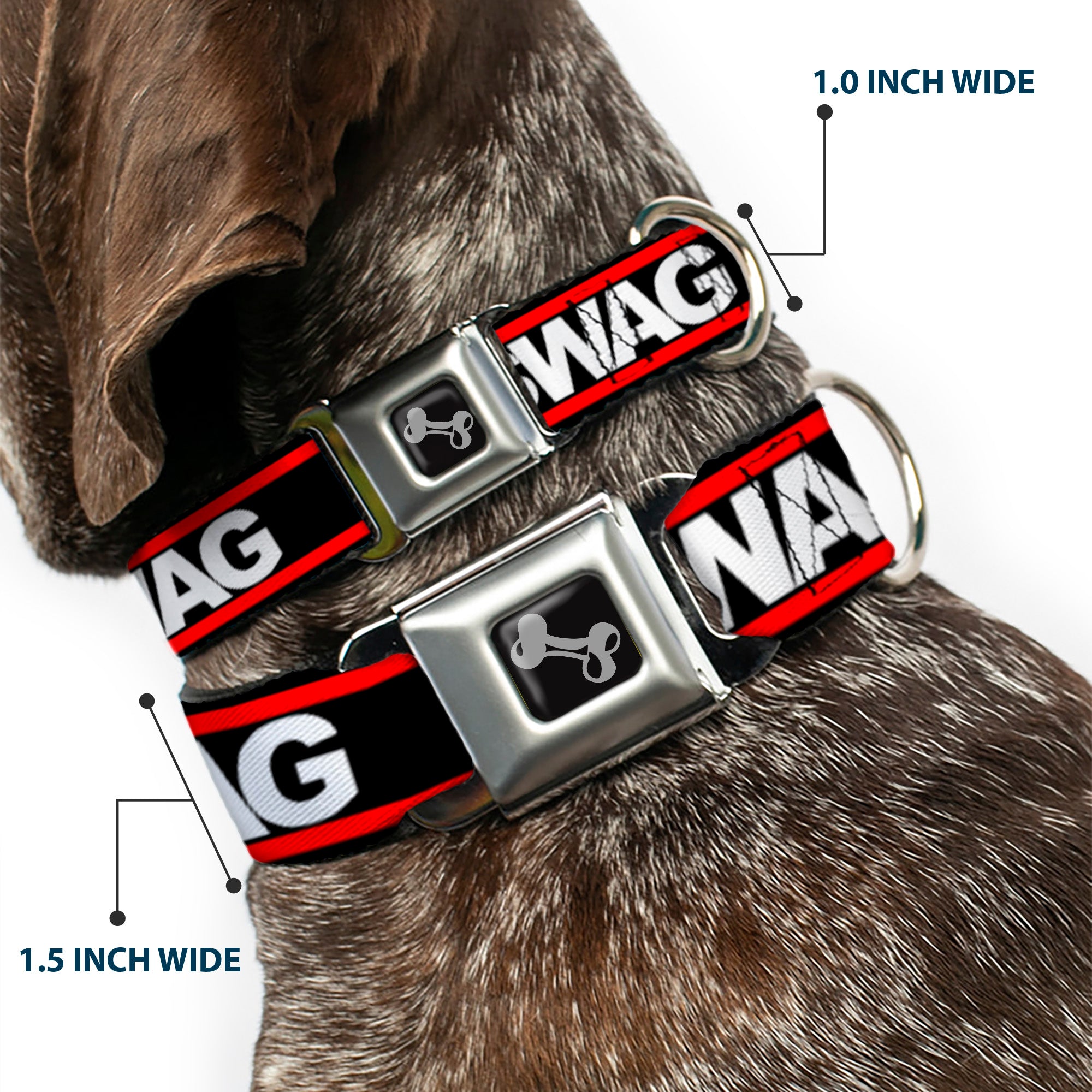 Dog Bone Seatbelt Buckle Collar - SWAGG Black/White/Red Stripe Seatbelt Buckle Collars Buckle-Down