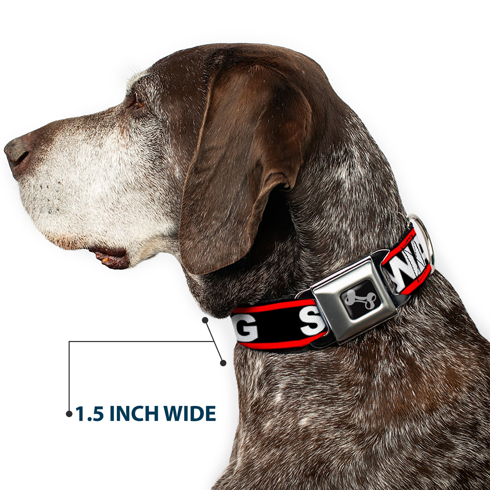 Dog Bone Seatbelt Buckle Collar - SWAGG Black/White/Red Stripe Seatbelt Buckle Collars Buckle-Down