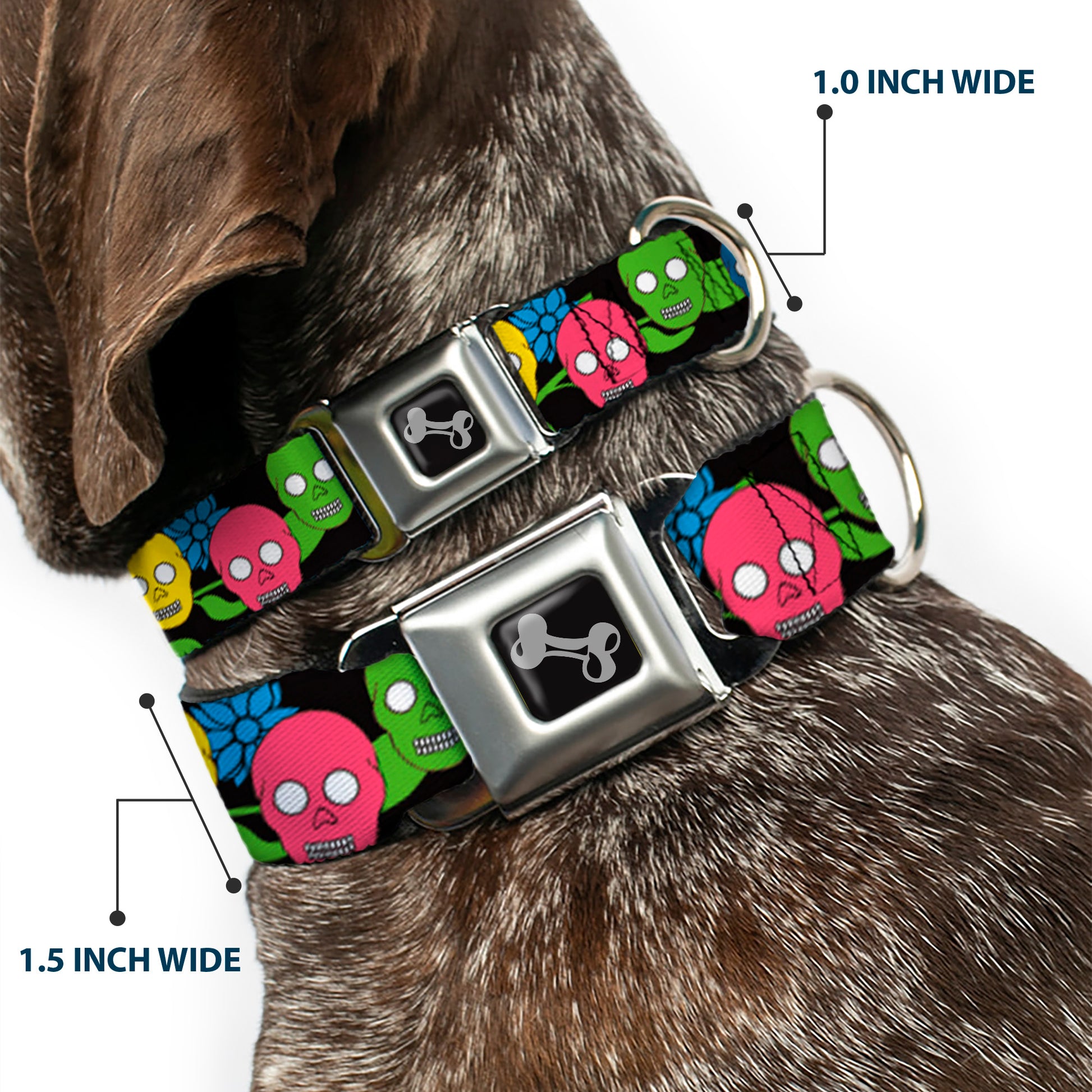 Dog Bone Seatbelt Buckle Collar - Skulls & Flowers Black/Multi Color Seatbelt Buckle Collars Buckle-Down
