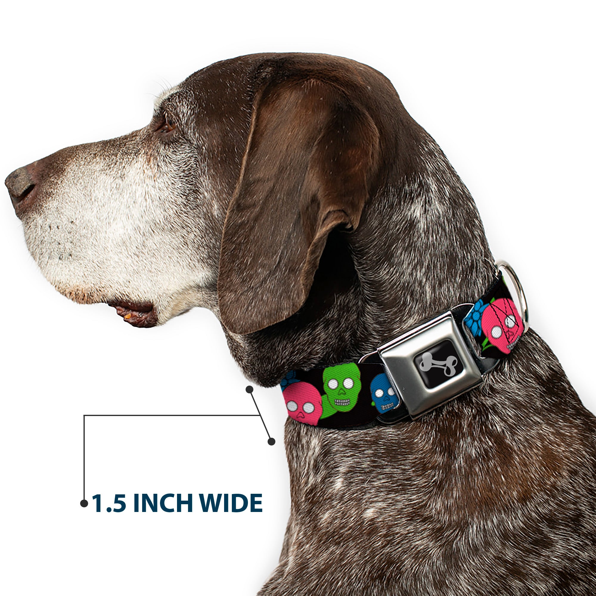 Dog Bone Seatbelt Buckle Collar - Skulls & Flowers Black/Multi Color Seatbelt Buckle Collars Buckle-Down
