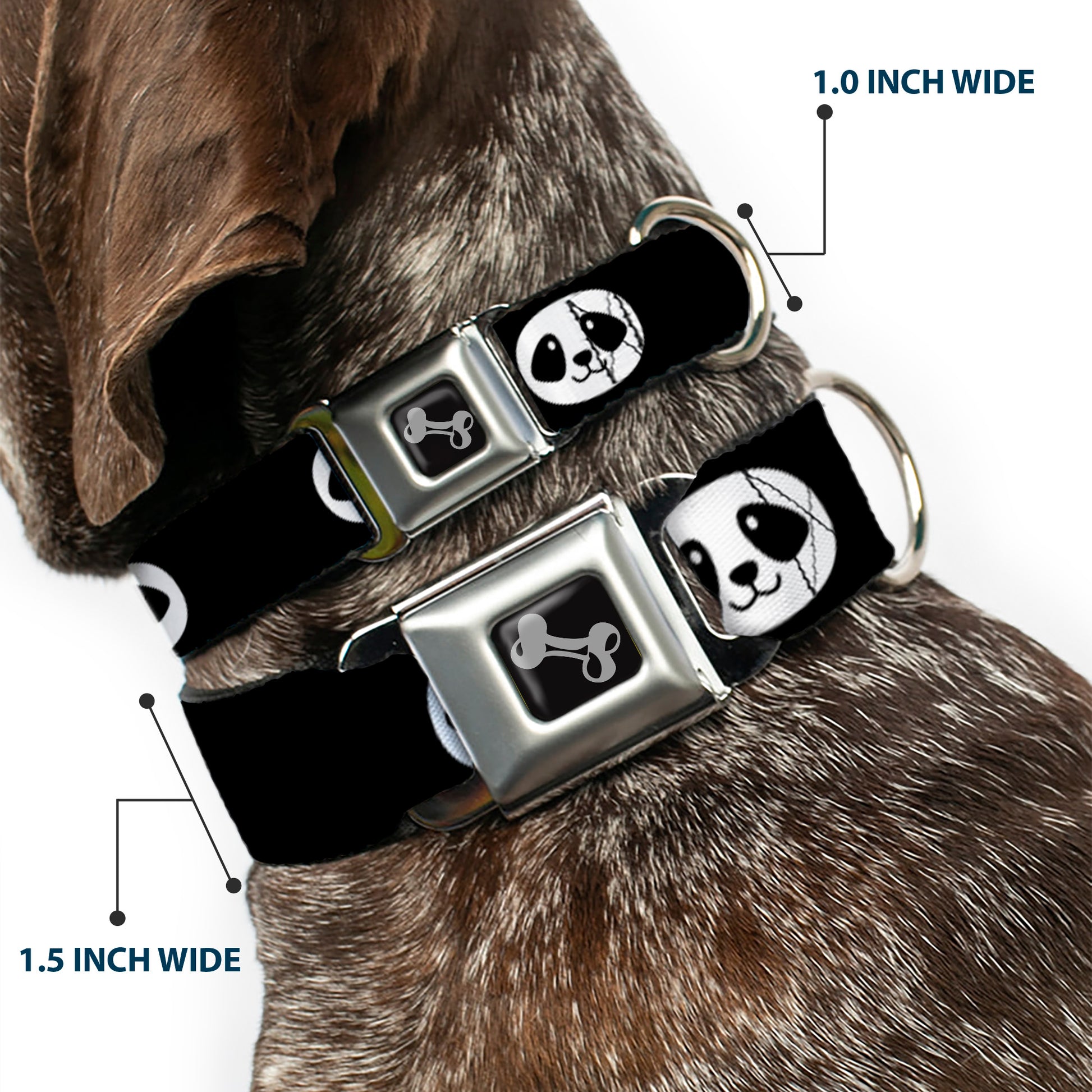 Dog Bone Seatbelt Buckle Collar - Smiling Panda Face Black/White Seatbelt Buckle Collars Buckle-Down
