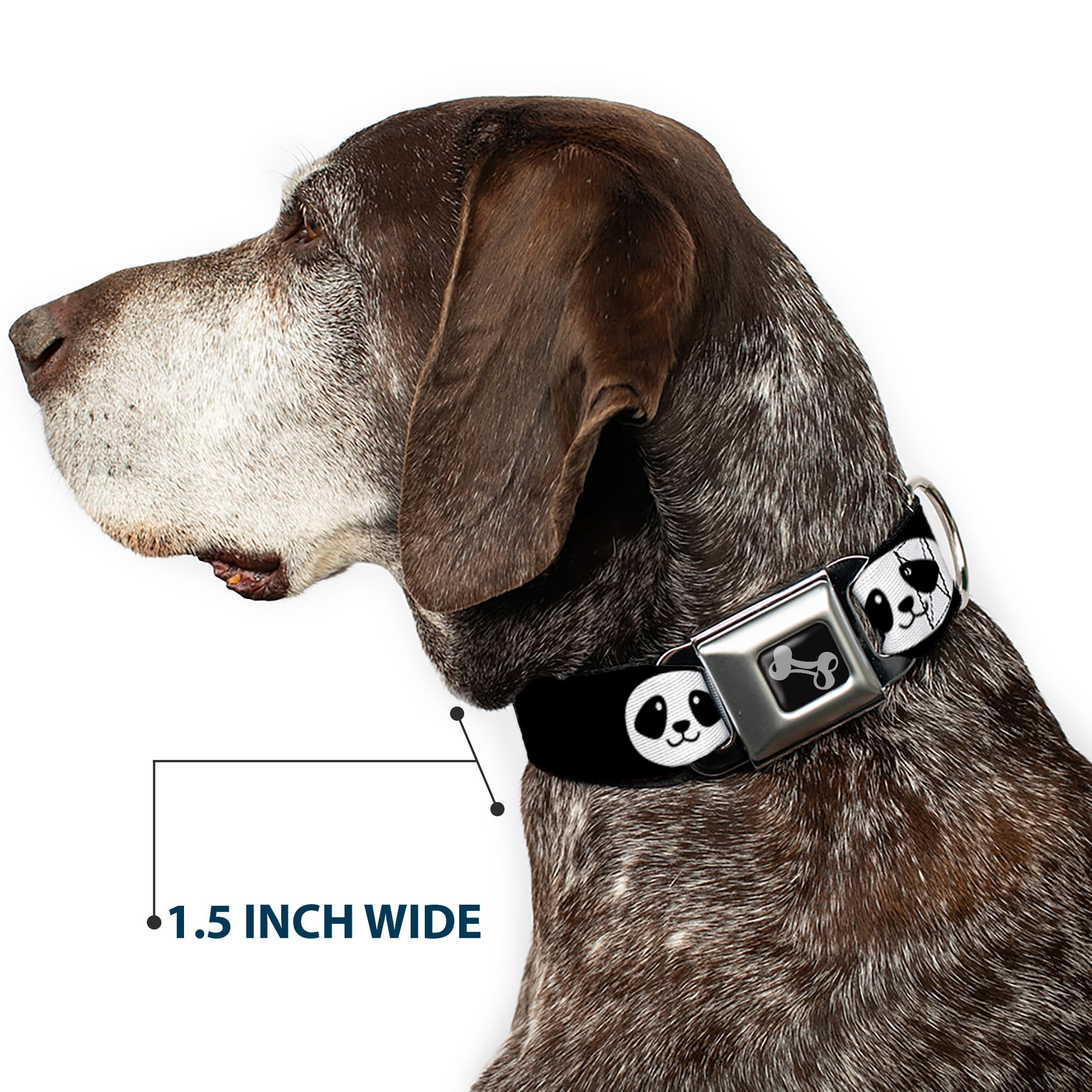 Dog Bone Seatbelt Buckle Collar - Smiling Panda Face Black/White Seatbelt Buckle Collars Buckle-Down