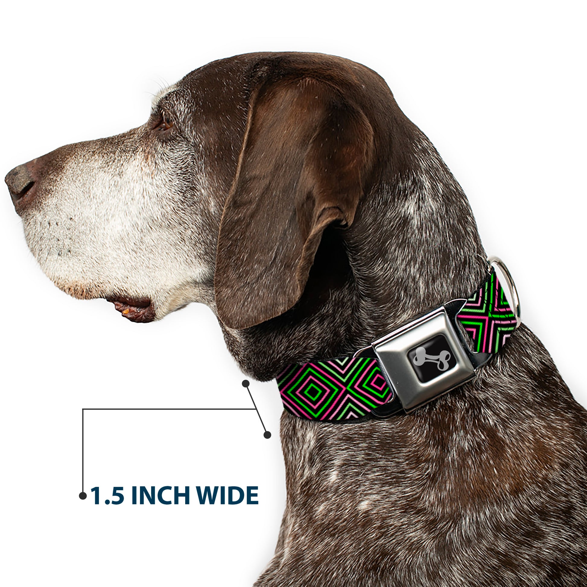 Dog Bone Seatbelt Buckle Collar - Square Lines Black/Greens/Pinks Seatbelt Buckle Collars Buckle-Down