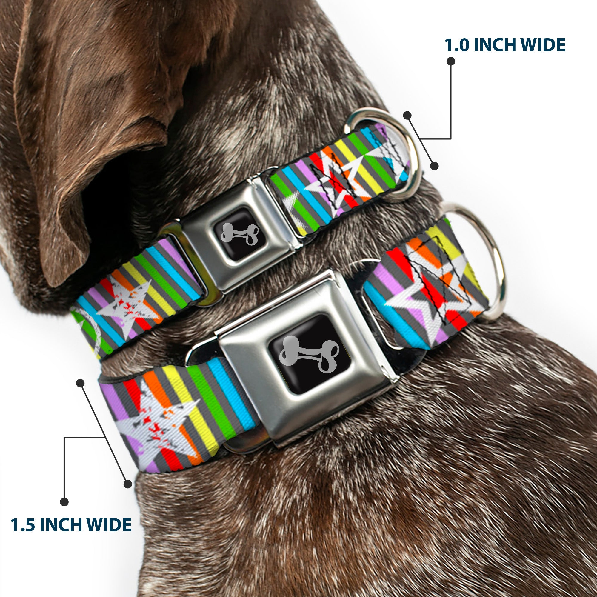 Dog Bone Seatbelt Buckle Collar - Stars w/Lines Gray/Multi Color/White Seatbelt Buckle Collars Buckle-Down