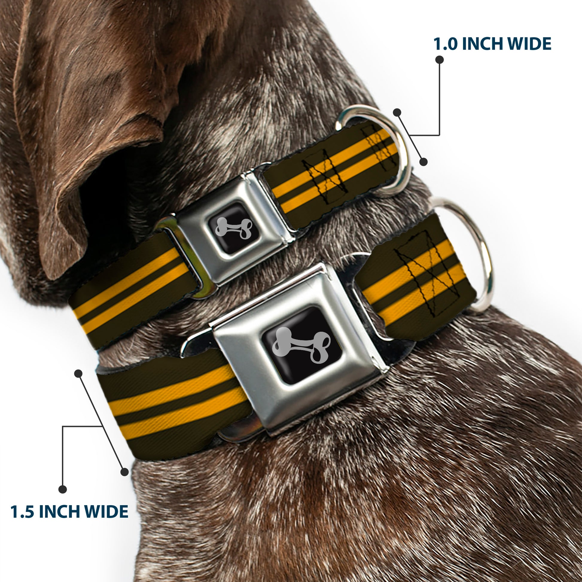Dog Bone Seatbelt Buckle Collar - Stripe Black/Gold Seatbelt Buckle Collars Buckle-Down