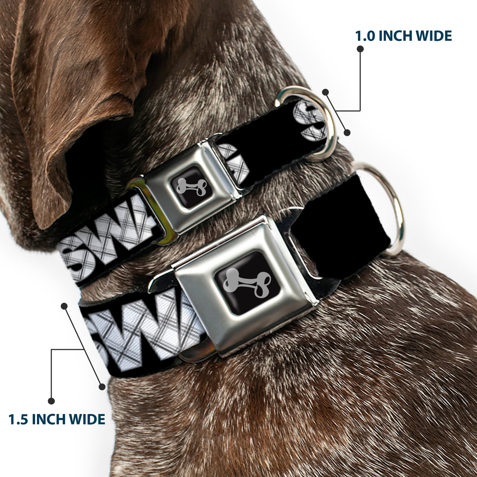 Dog Bone Seatbelt Buckle Collar - SWAG Black/Plaid X White/Gray Seatbelt Buckle Collars Buckle-Down