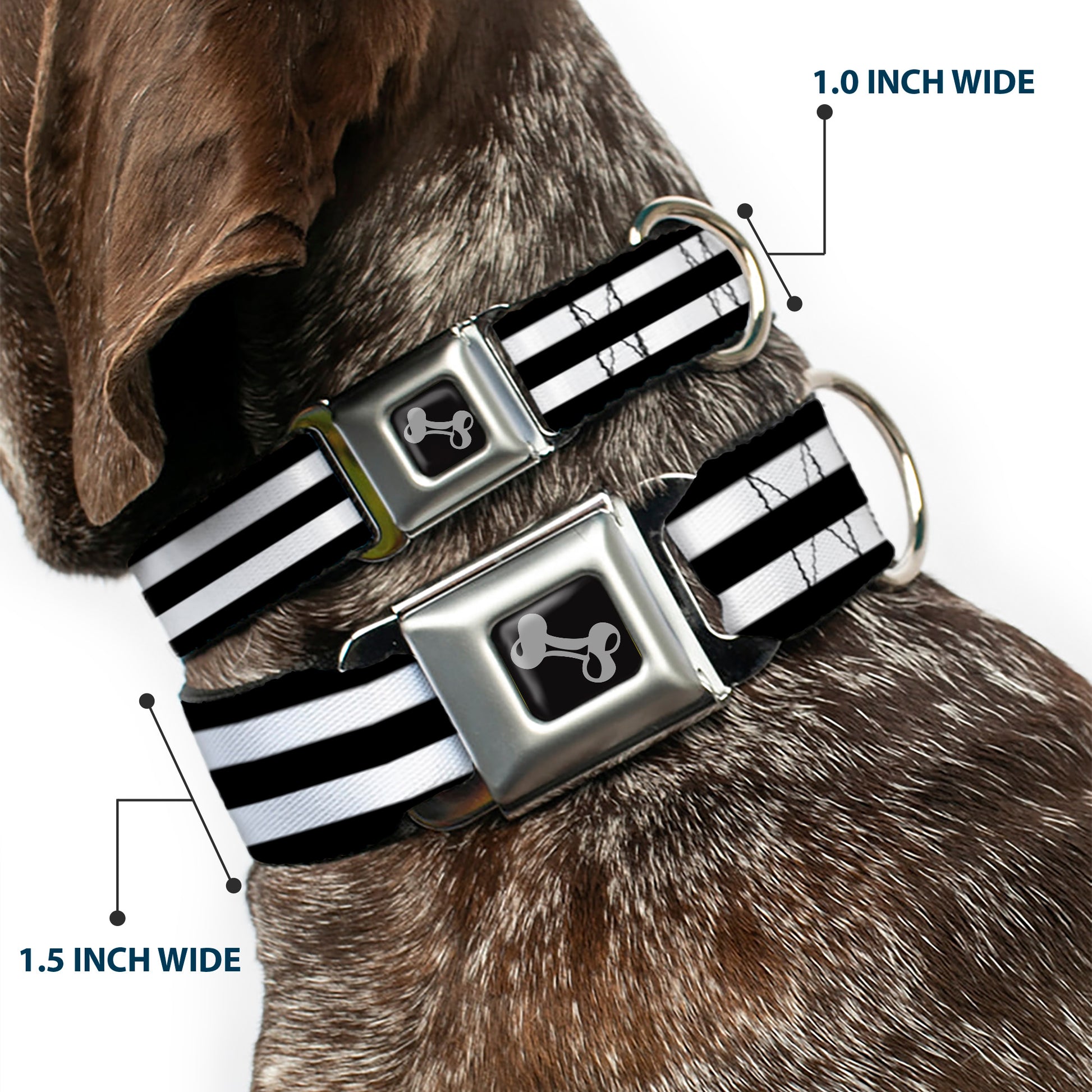 Dog Bone Seatbelt Buckle Collar - Stripes 3Black/2White Seatbelt Buckle Collars Buckle-Down
