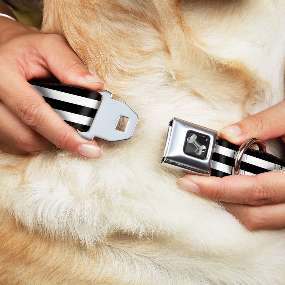 Dog Bone Seatbelt Buckle Collar - Stripes 3Black/2White Seatbelt Buckle Collars Buckle-Down