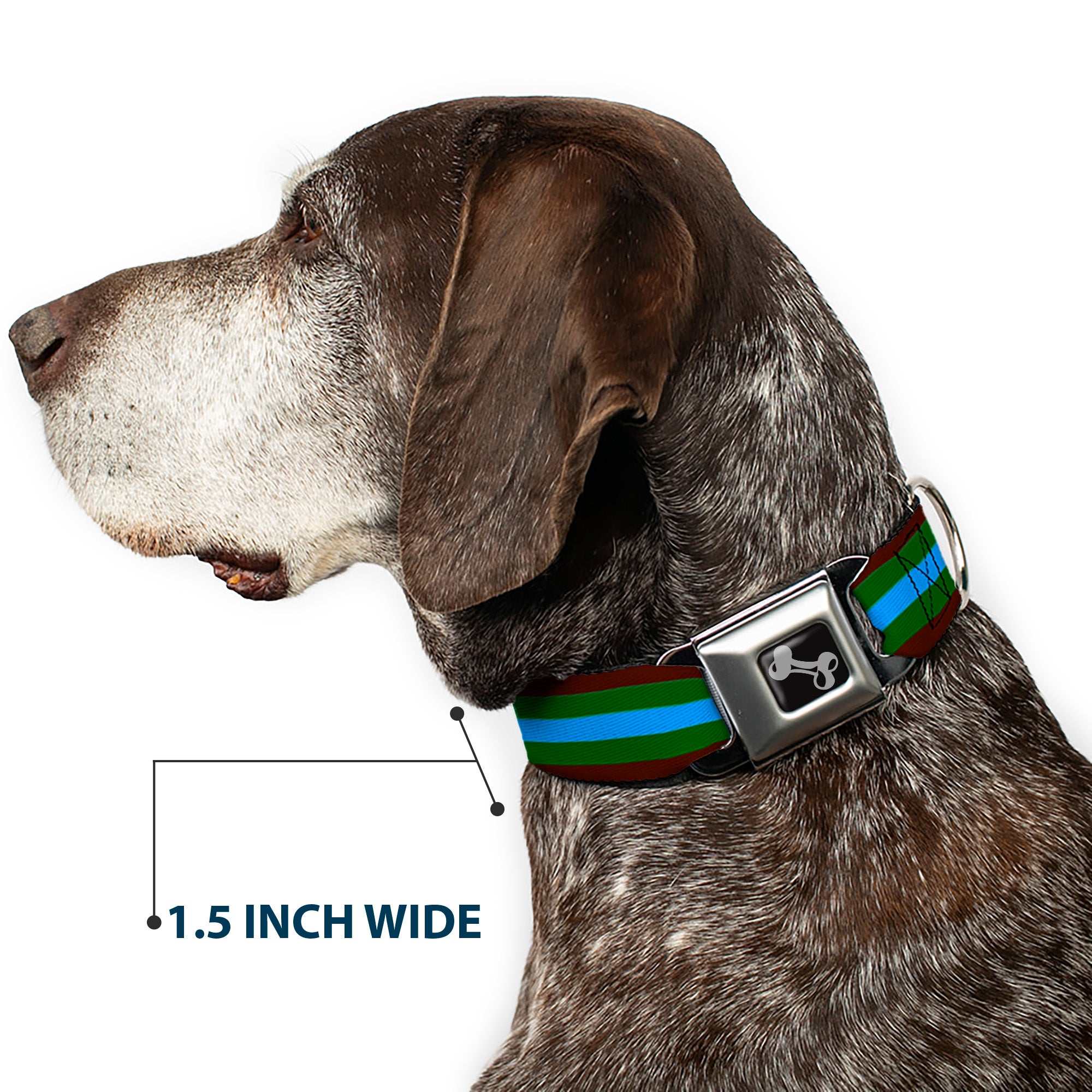 Dog Bone Seatbelt Buckle Collar - Stripes Brown/Green/Baby Blue Seatbelt Buckle Collars Buckle-Down