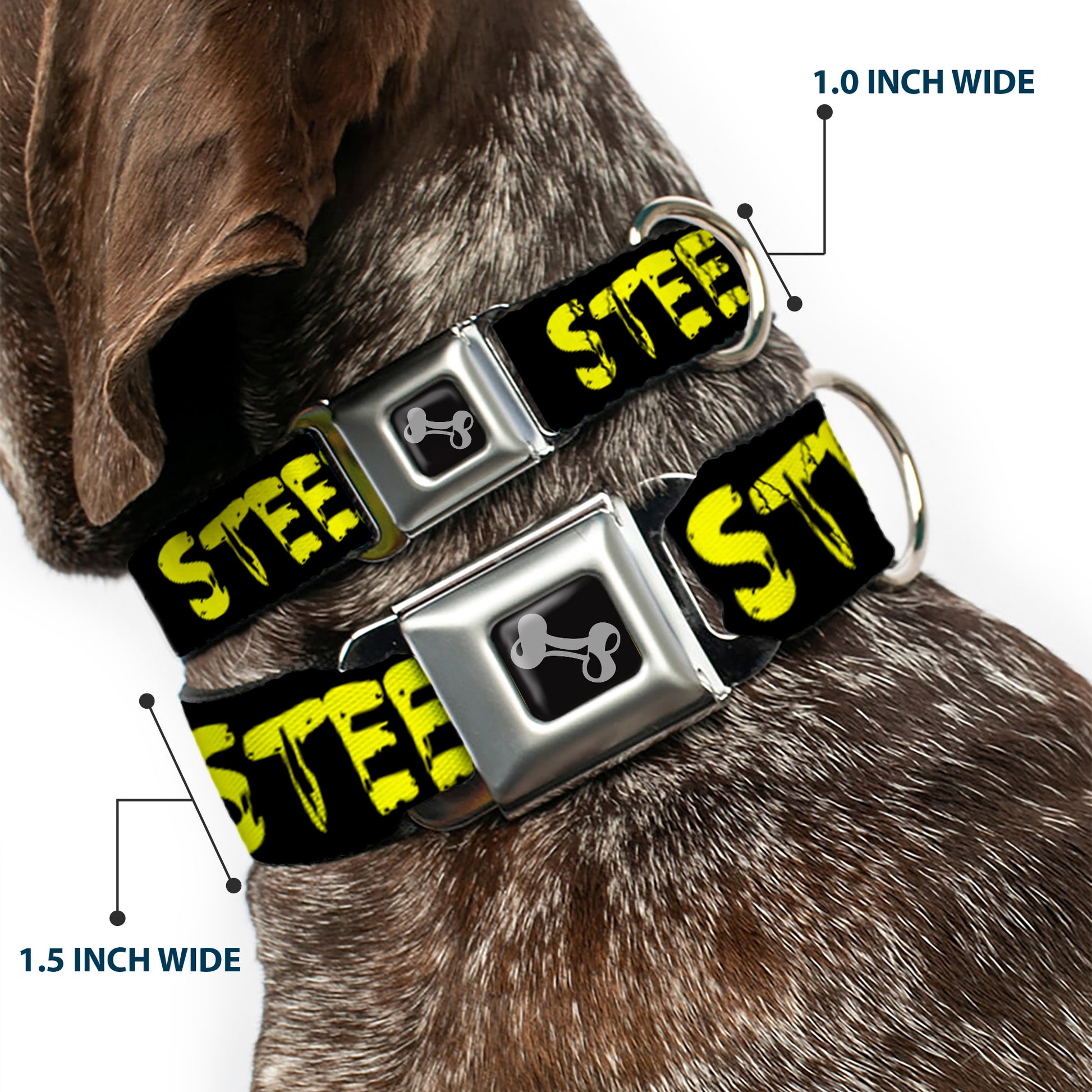 Dog Bone Seatbelt Buckle Collar - STEEZ Brushed Black/Yellow Seatbelt Buckle Collars Buckle-Down