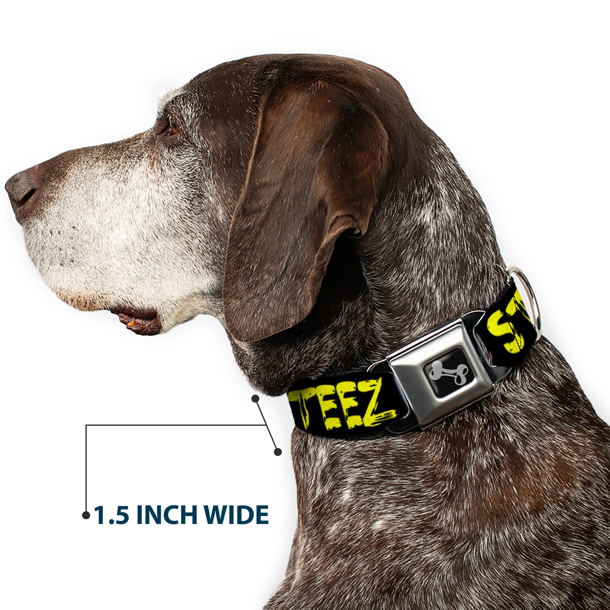 Dog Bone Seatbelt Buckle Collar - STEEZ Brushed Black/Yellow Seatbelt Buckle Collars Buckle-Down