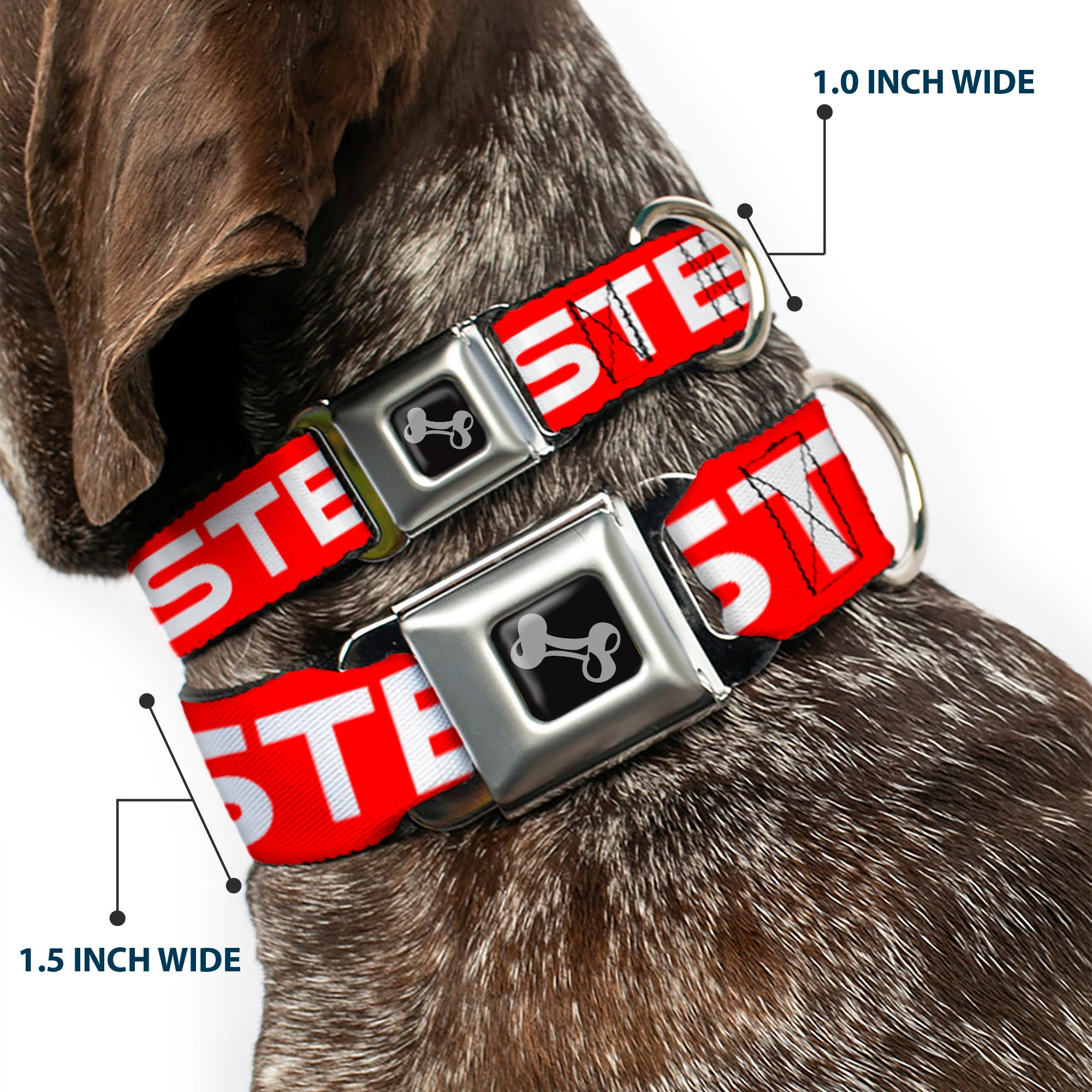 Dog Bone Seatbelt Buckle Collar - STEEZ Flat Red/White Seatbelt Buckle Collars Buckle-Down