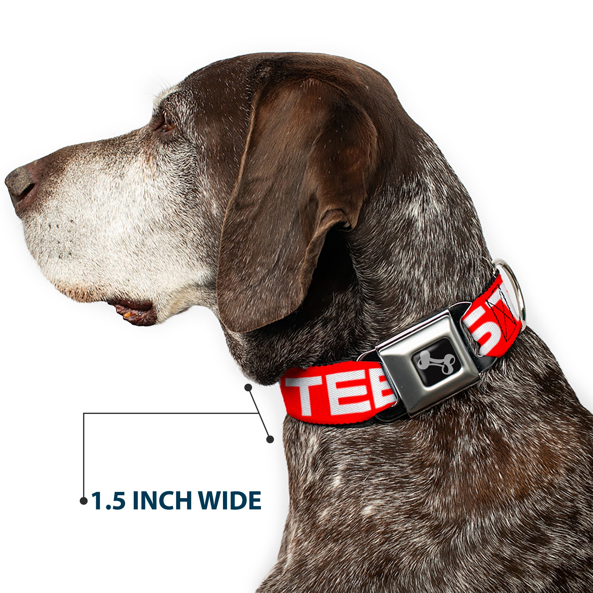 Dog Bone Seatbelt Buckle Collar - STEEZ Flat Red/White Seatbelt Buckle Collars Buckle-Down