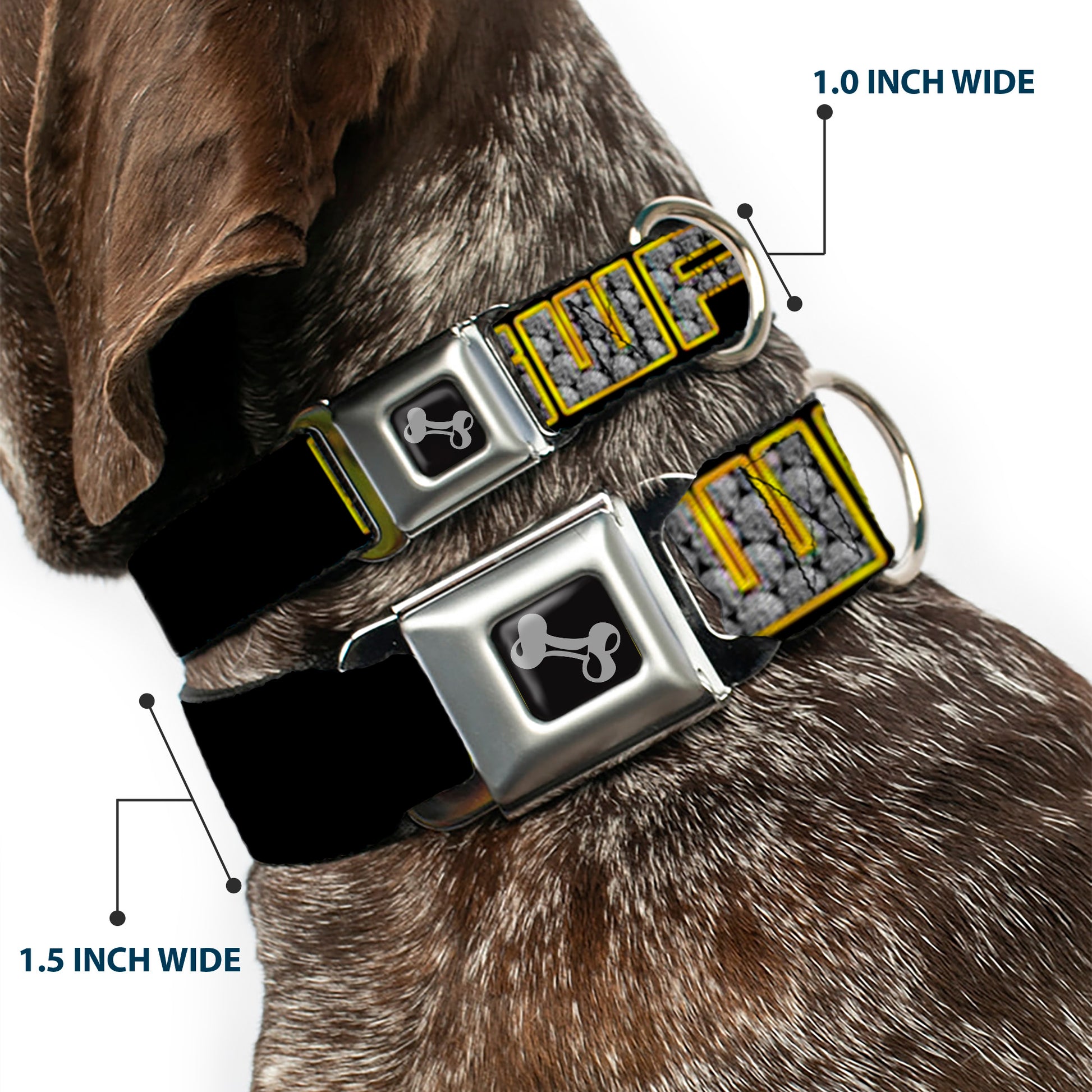 Dog Bone Seatbelt Buckle Collar - SWAG Black/Bling Seatbelt Buckle Collars Buckle-Down