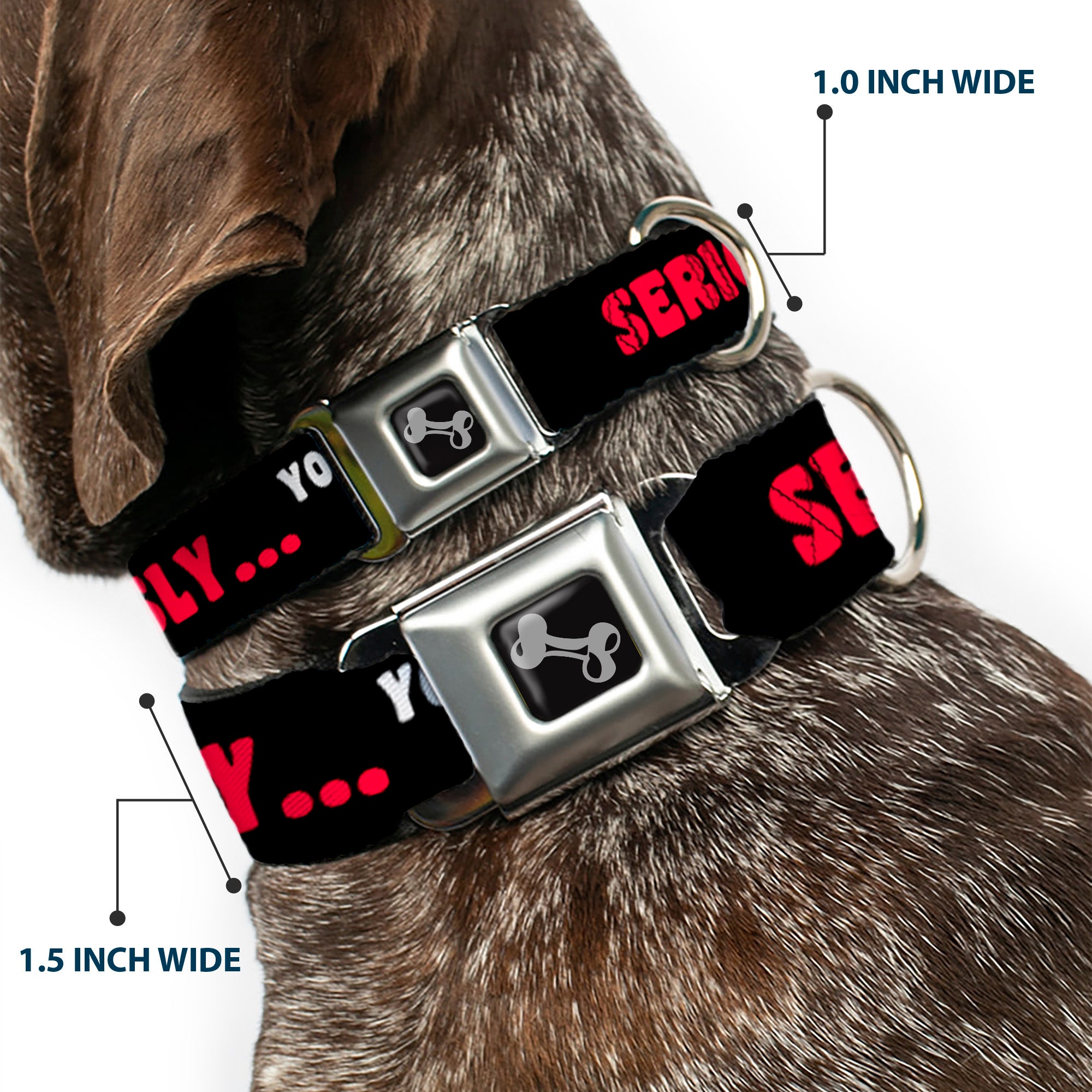 Dog Bone Seatbelt Buckle Collar - SERIOUSLYâ€¦YOU DON'T HAVE A CHANCE Black/Red/White Seatbelt Buckle Collars Buckle-Down