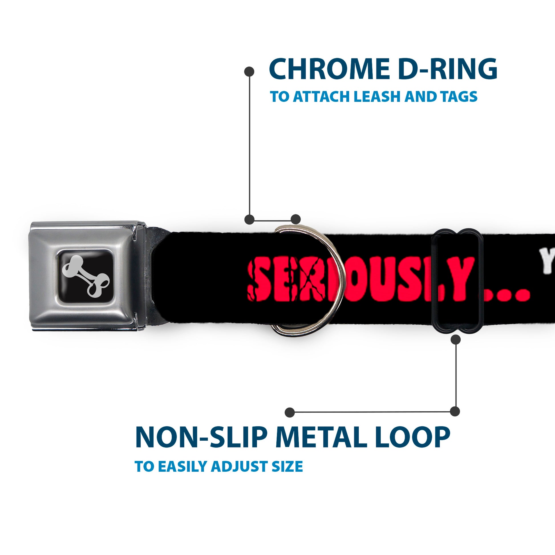 Dog Bone Seatbelt Buckle Collar - SERIOUSLYâ€¦YOU DON'T HAVE A CHANCE Black/Red/White Seatbelt Buckle Collars Buckle-Down