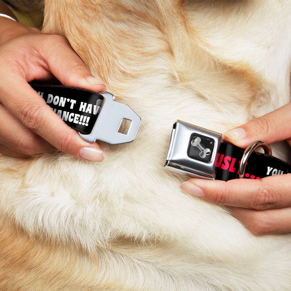 Dog Bone Seatbelt Buckle Collar - SERIOUSLYâ€¦YOU DON'T HAVE A CHANCE Black/Red/White Seatbelt Buckle Collars Buckle-Down