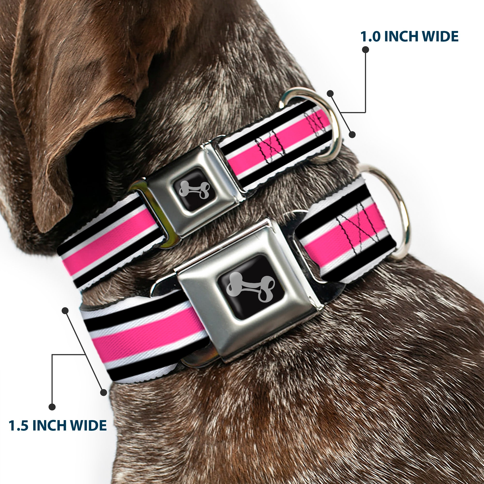 Dog Bone Seatbelt Buckle Collar - Stripes White/Black/White/Pink Seatbelt Buckle Collars Buckle-Down