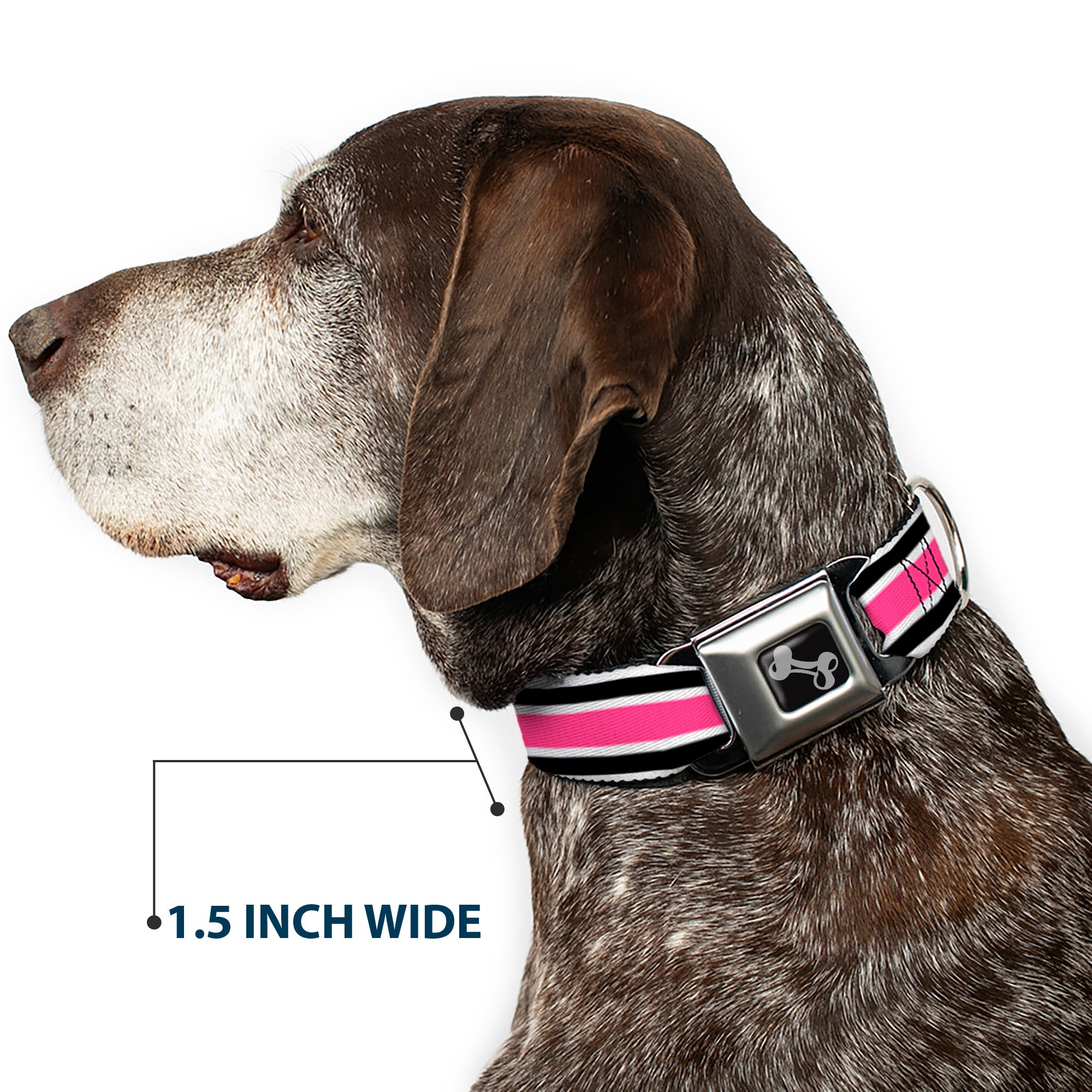 Dog Bone Seatbelt Buckle Collar - Stripes White/Black/White/Pink Seatbelt Buckle Collars Buckle-Down