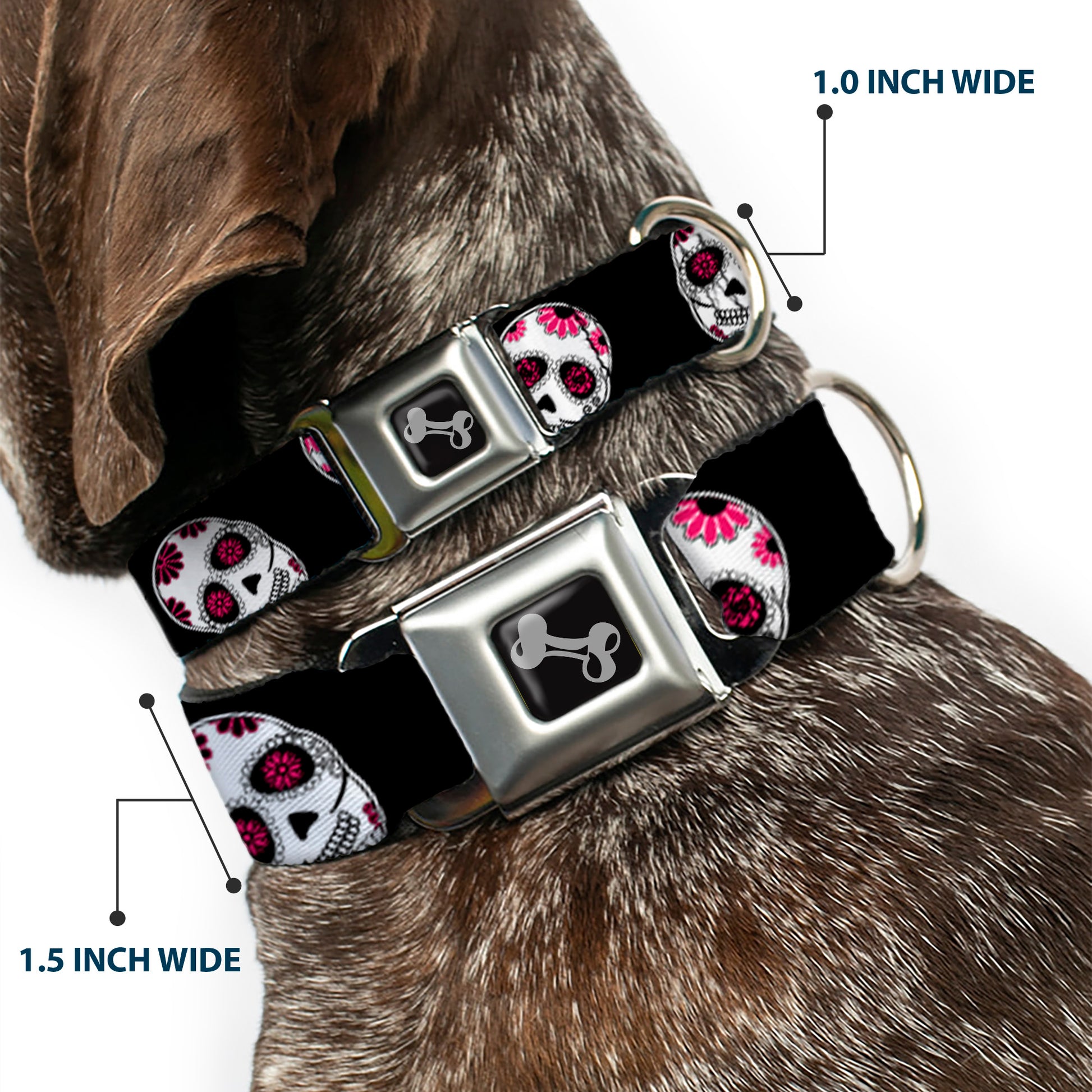 Dog Bone Seatbelt Buckle Collar - Sugar Skulls Scattered Black/White/Fuchsia Seatbelt Buckle Collars Buckle-Down