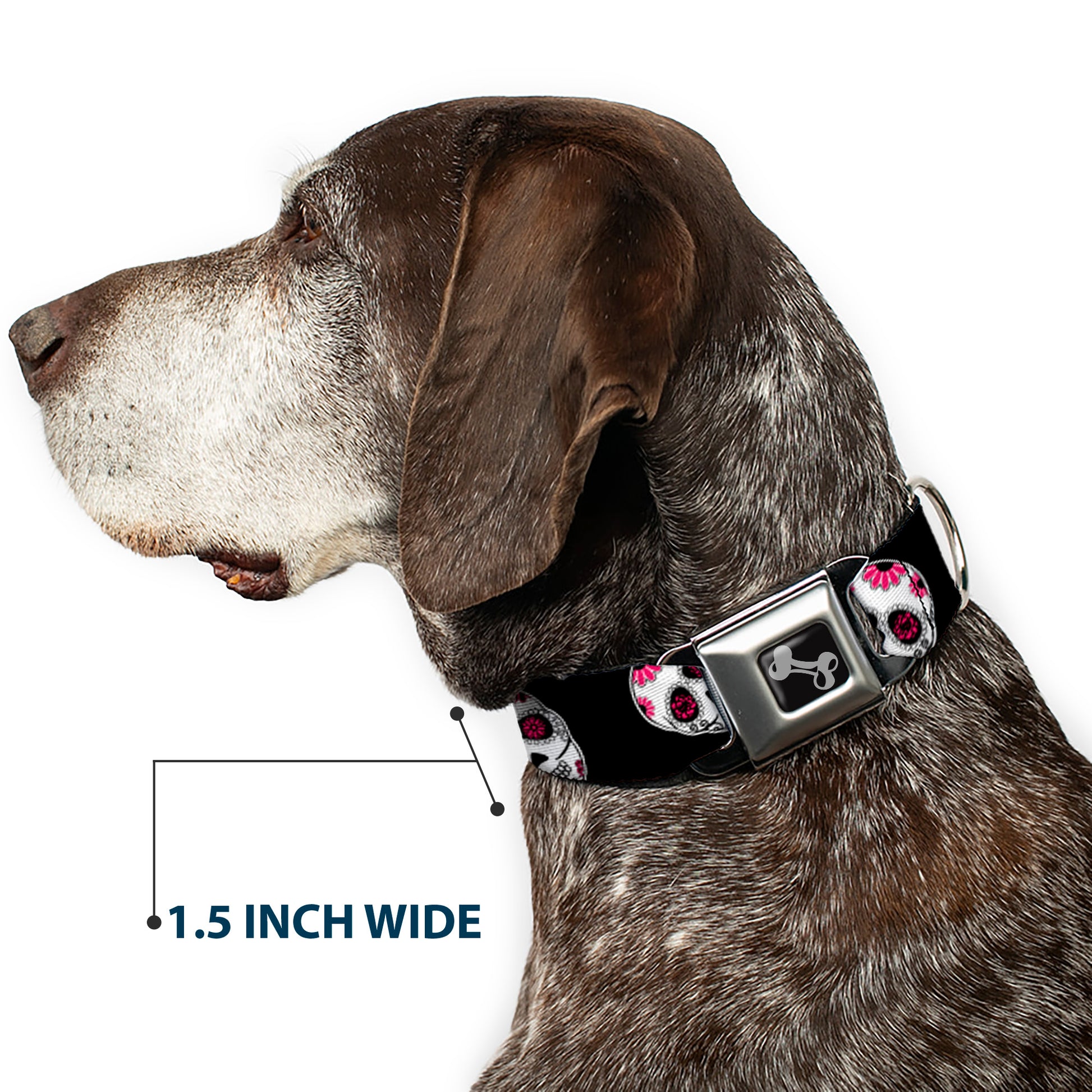 Dog Bone Seatbelt Buckle Collar - Sugar Skulls Scattered Black/White/Fuchsia Seatbelt Buckle Collars Buckle-Down