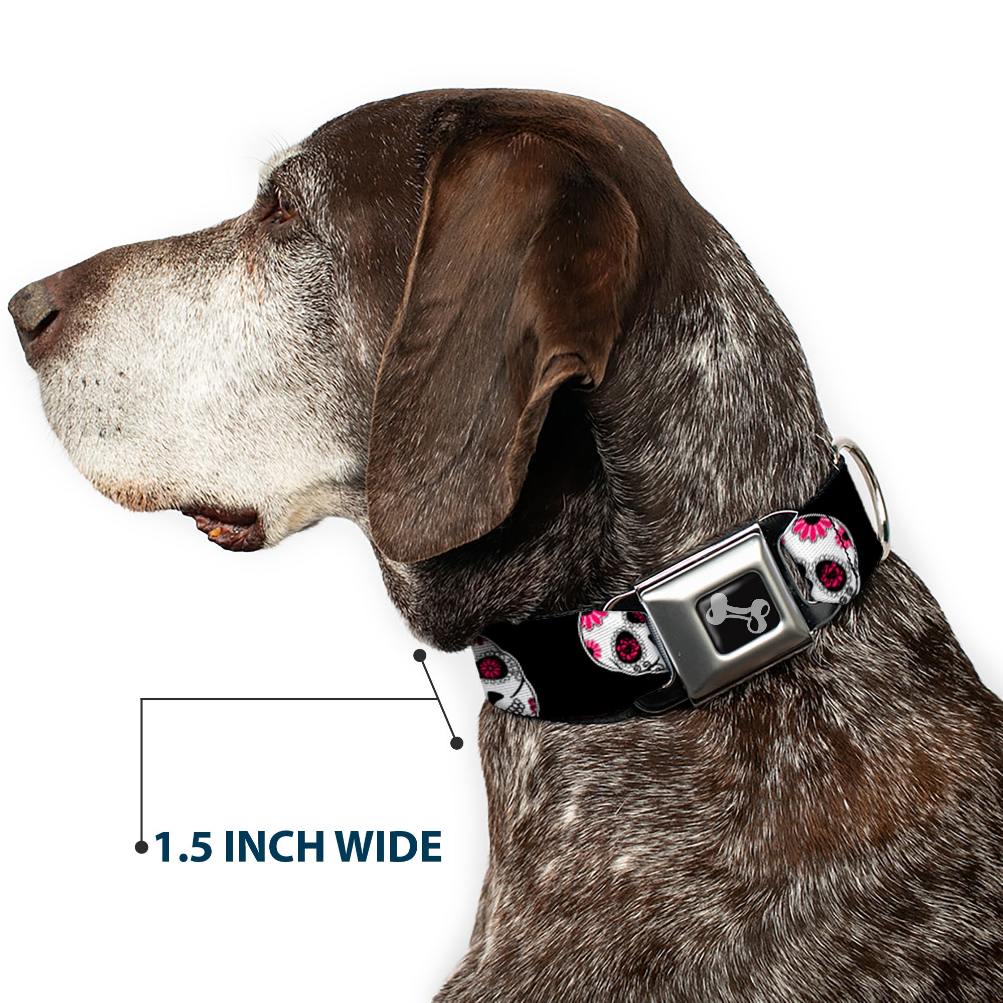 Dog Bone Seatbelt Buckle Collar - Sugar Skulls Scattered Black/White/Fuchsia Seatbelt Buckle Collars Buckle-Down