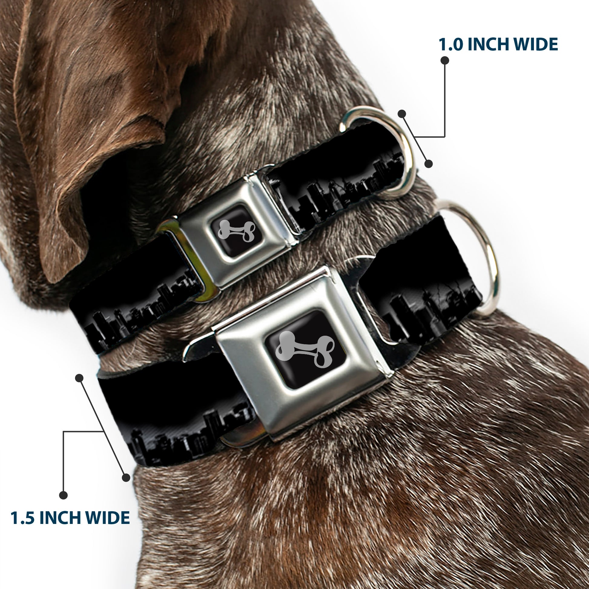 Dog Bone Seatbelt Buckle Collar - Seattle Vivid Skyline Black/White Seatbelt Buckle Collars Buckle-Down