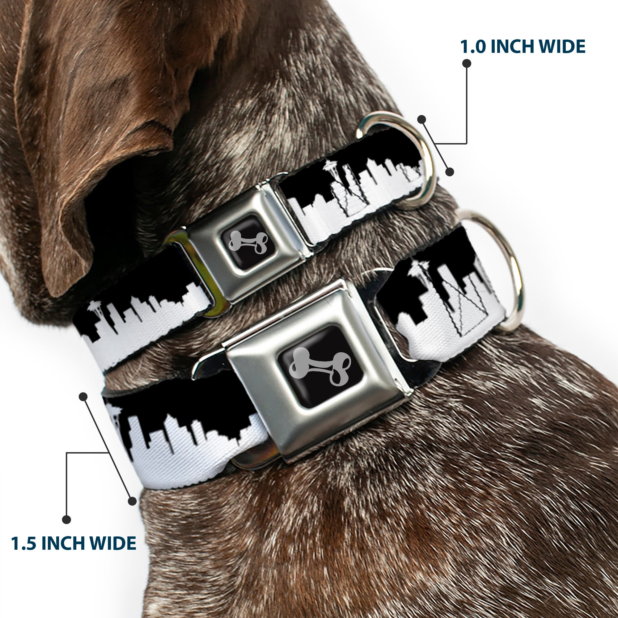 Dog Bone Seatbelt Buckle Collar - Seattle Solid Skyline Black/White Seatbelt Buckle Collars Buckle-Down