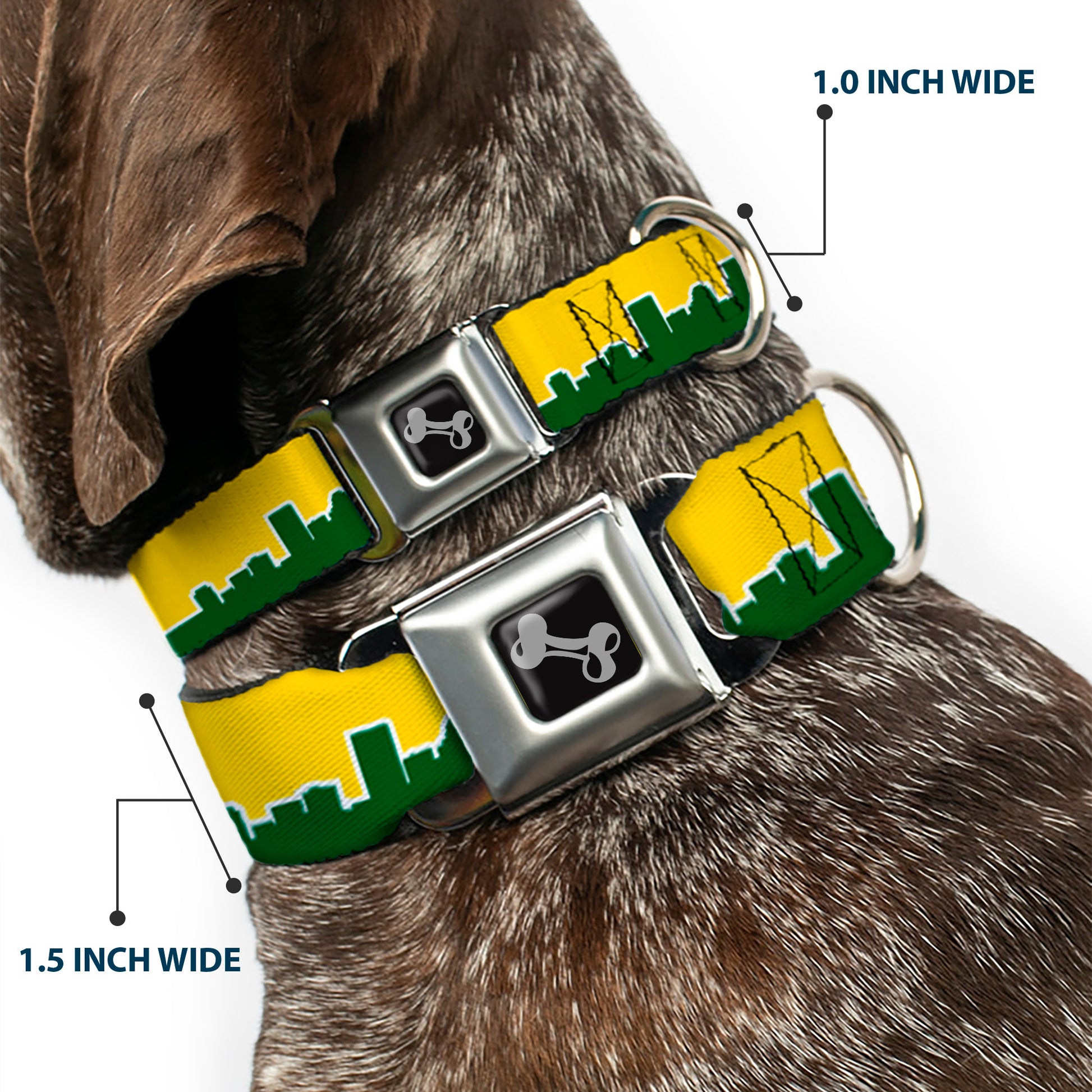 Dog Bone Seatbelt Buckle Collar - Seattle Skyline Yellow/Emerald Green Seatbelt Buckle Collars Buckle-Down