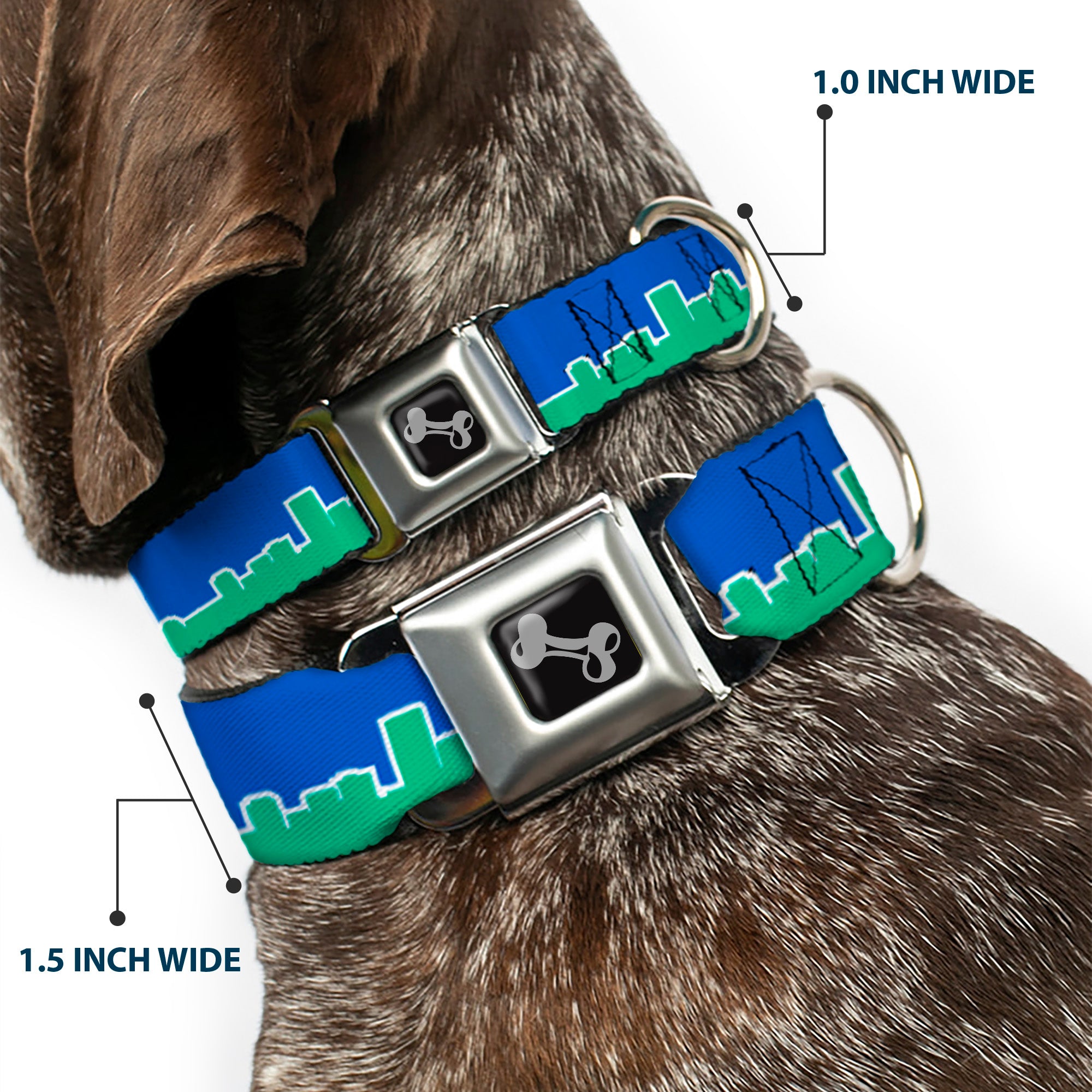 Dog Bone Seatbelt Buckle Collar - Seattle Skyline Blue/Green Seatbelt Buckle Collars Buckle-Down