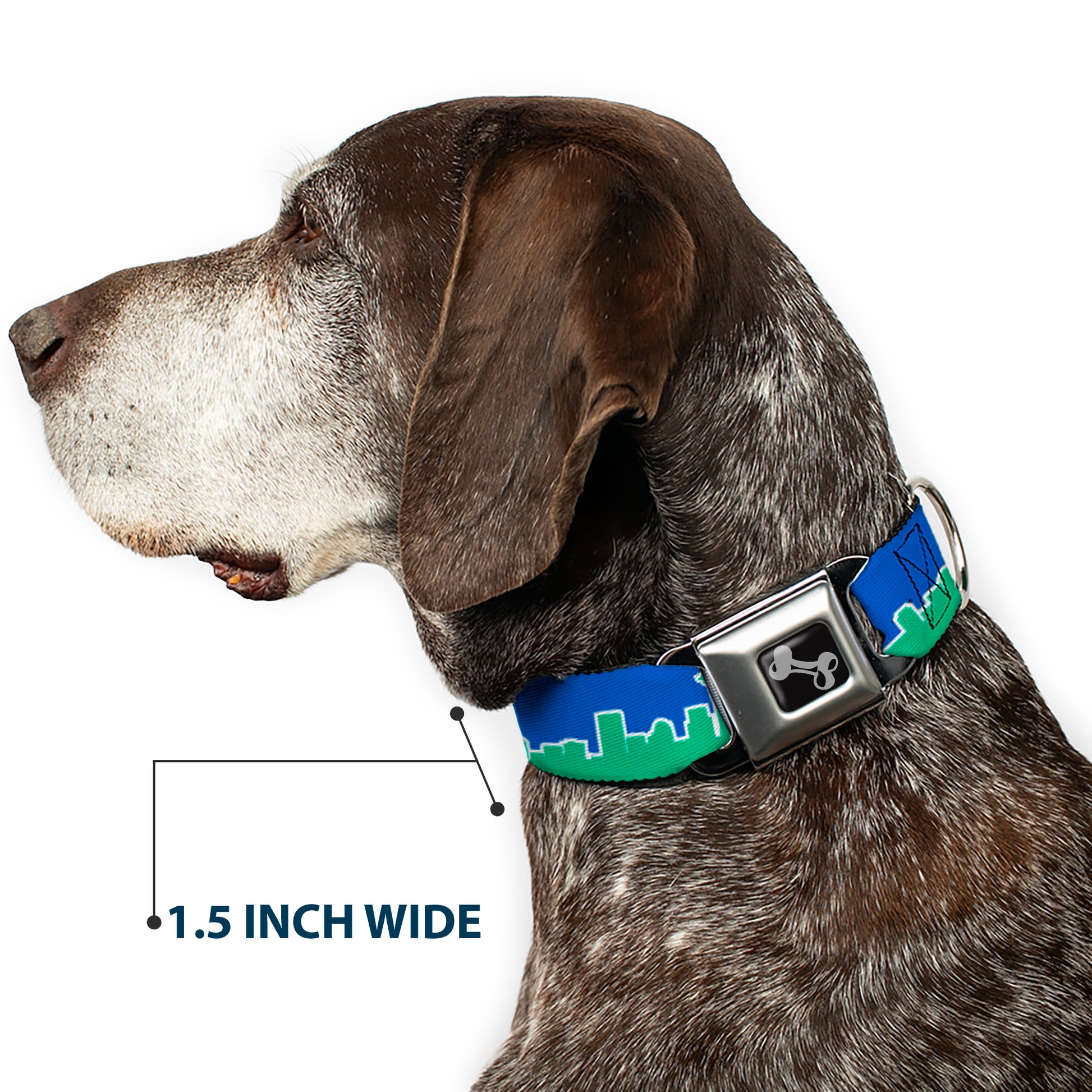 Dog Bone Seatbelt Buckle Collar - Seattle Skyline Blue/Green Seatbelt Buckle Collars Buckle-Down