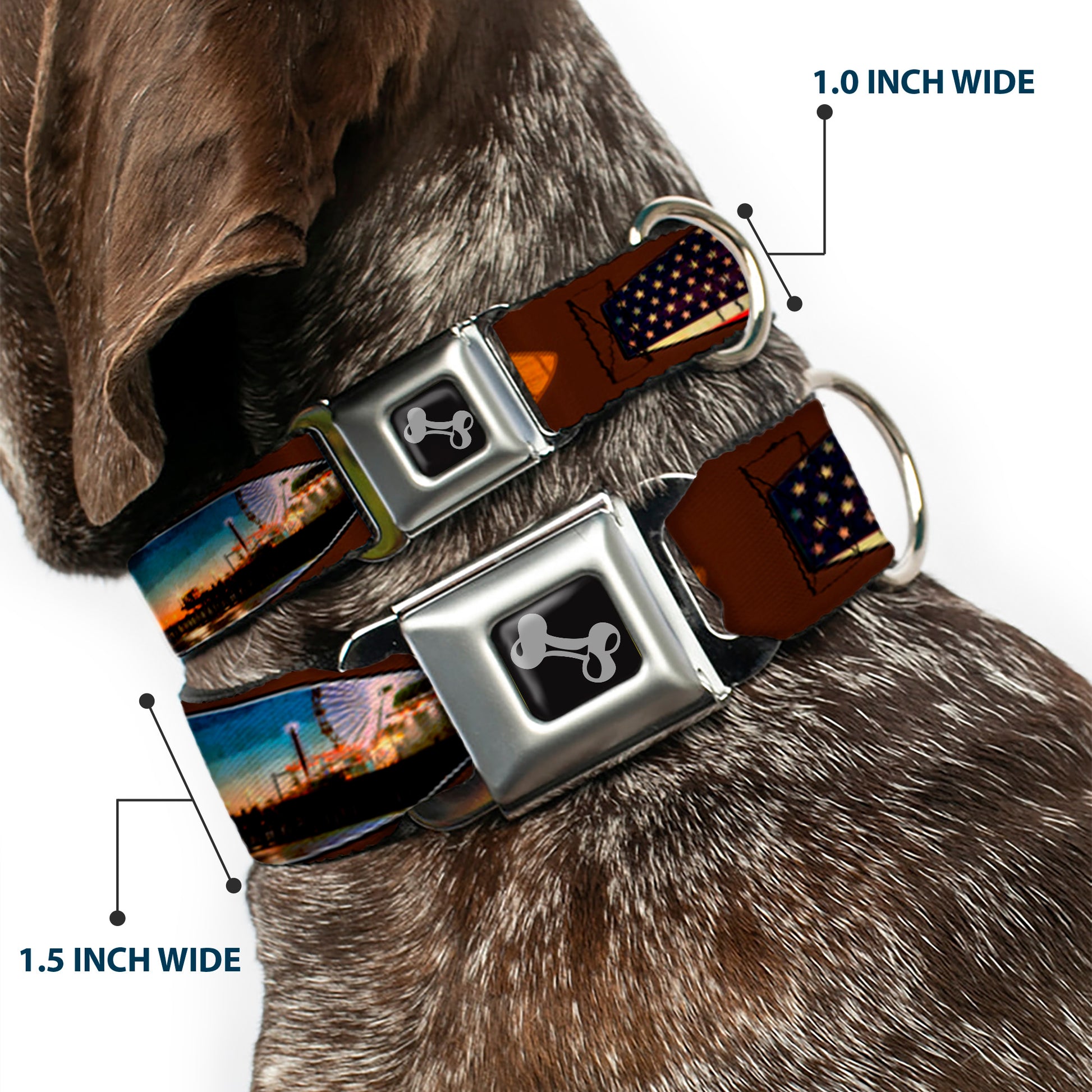 Dog Bone Seatbelt Buckle Collar - Surfboard Cali Scenes/US Flag Brown Seatbelt Buckle Collars Buckle-Down
