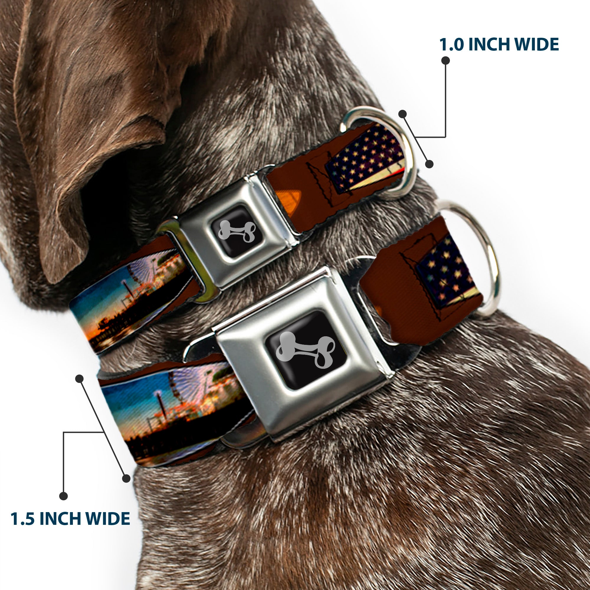 Dog Bone Seatbelt Buckle Collar - Surfboard Cali Scenes/US Flag Brown Seatbelt Buckle Collars Buckle-Down