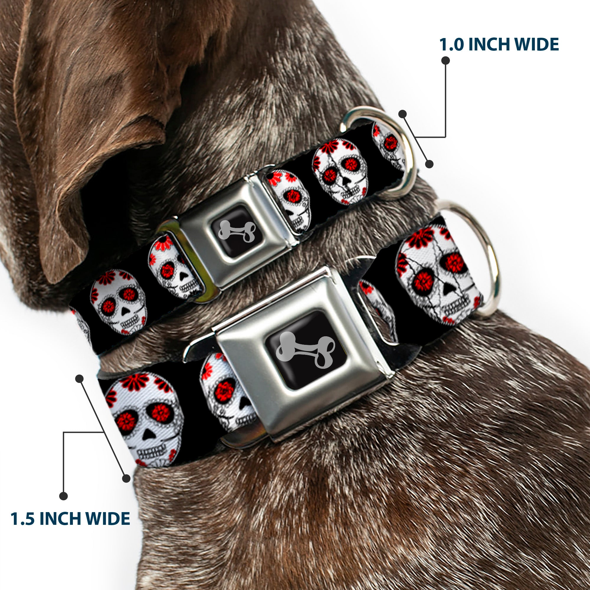 Dog Bone Seatbelt Buckle Collar - Sugar Skulls Black/White/Red Seatbelt Buckle Collars Buckle-Down