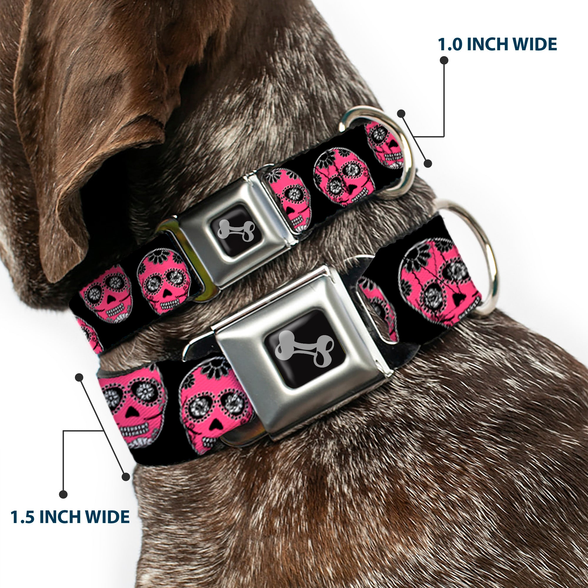 Dog Bone Seatbelt Buckle Collar - Sugar Skulls Black/White/Fuchsia Seatbelt Buckle Collars Buckle-Down