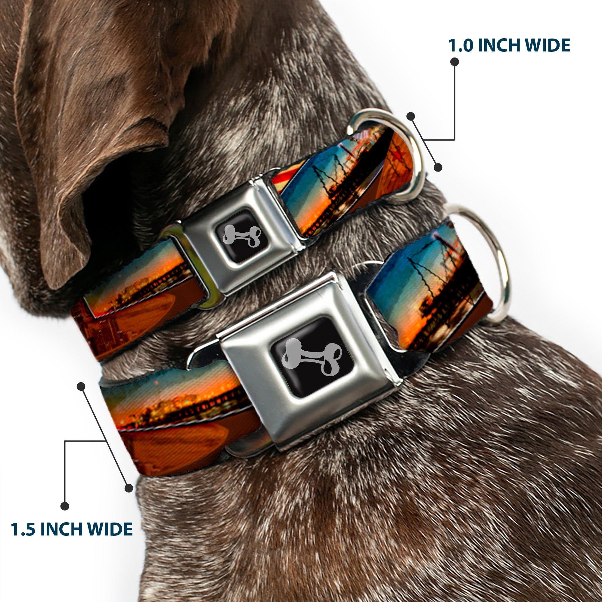 Dog Bone Seatbelt Buckle Collar - Surfboard Cali Scenes/US Flag Stacked Brown Seatbelt Buckle Collars Buckle-Down