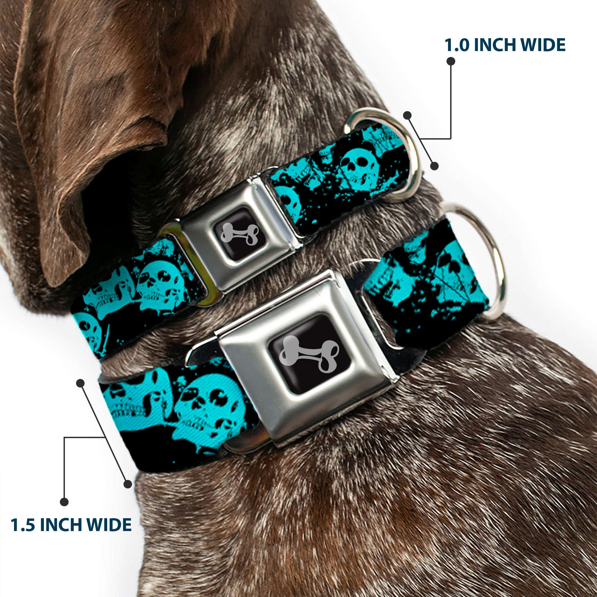 Dog Bone Seatbelt Buckle Collar - Skulls Stacked Weathered Black/Teal Seatbelt Buckle Collars Buckle-Down