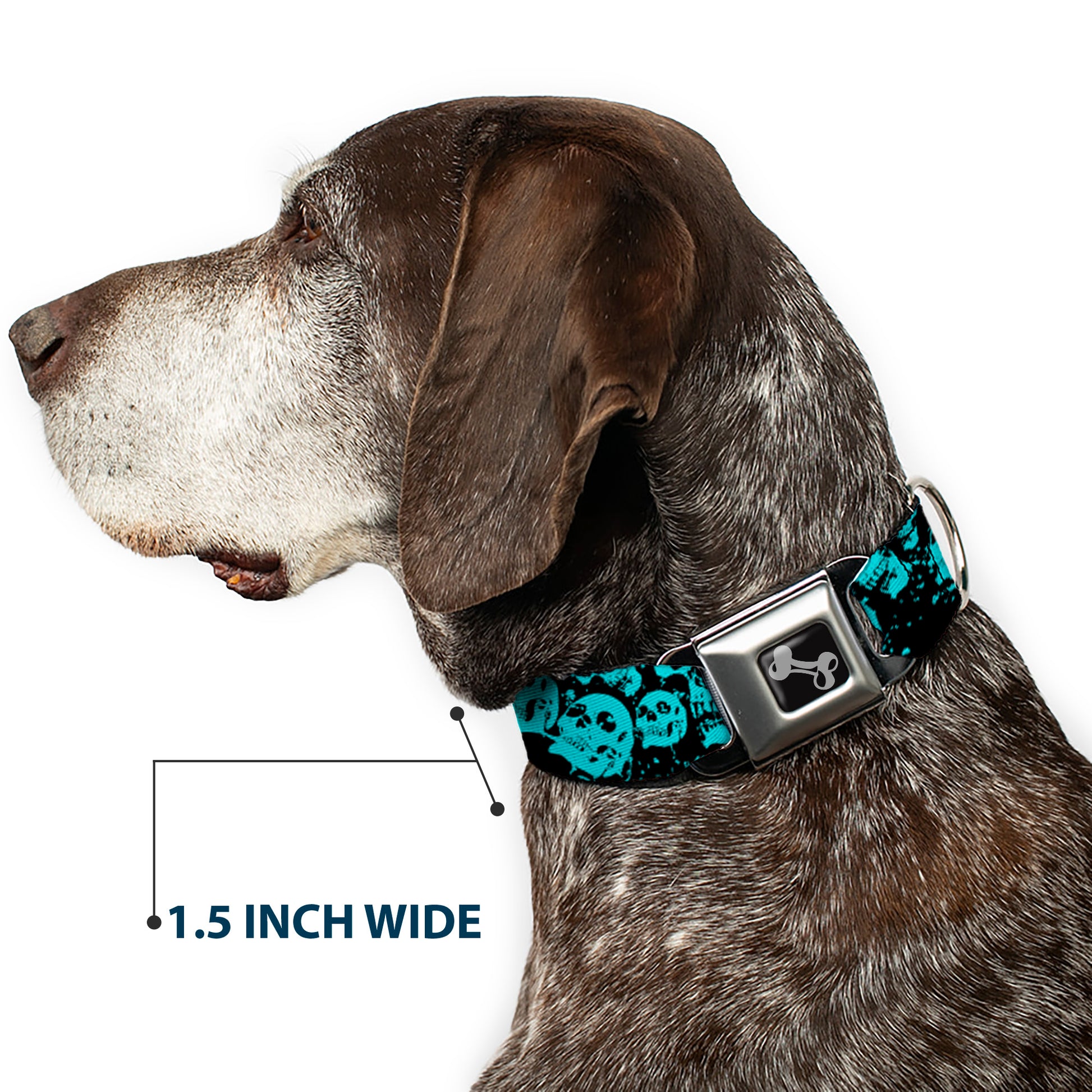 Dog Bone Seatbelt Buckle Collar - Skulls Stacked Weathered Black/Teal Seatbelt Buckle Collars Buckle-Down