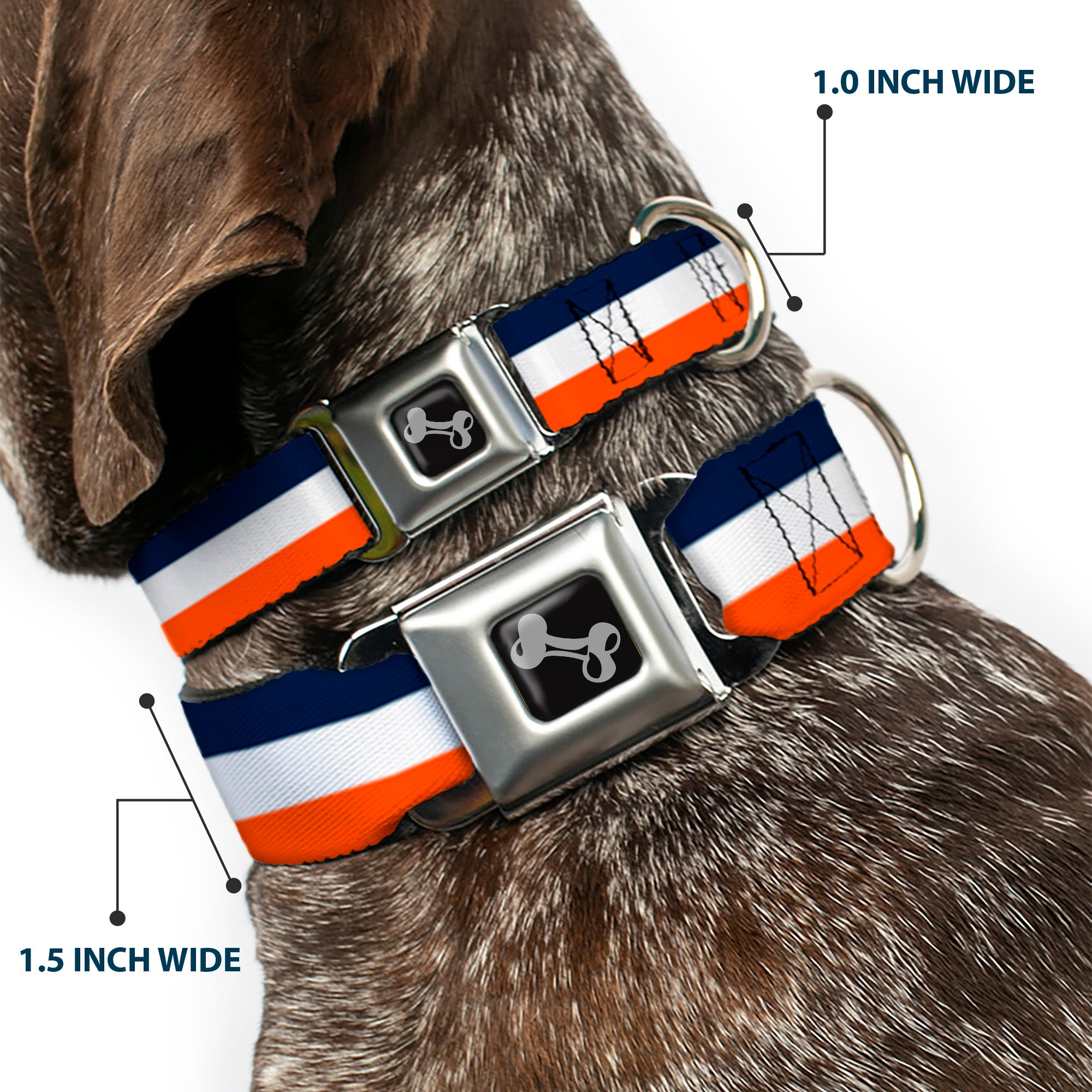 Dog Bone Seatbelt Buckle Collar - Stripe Navy/White/Orange Seatbelt Buckle Collars Buckle-Down